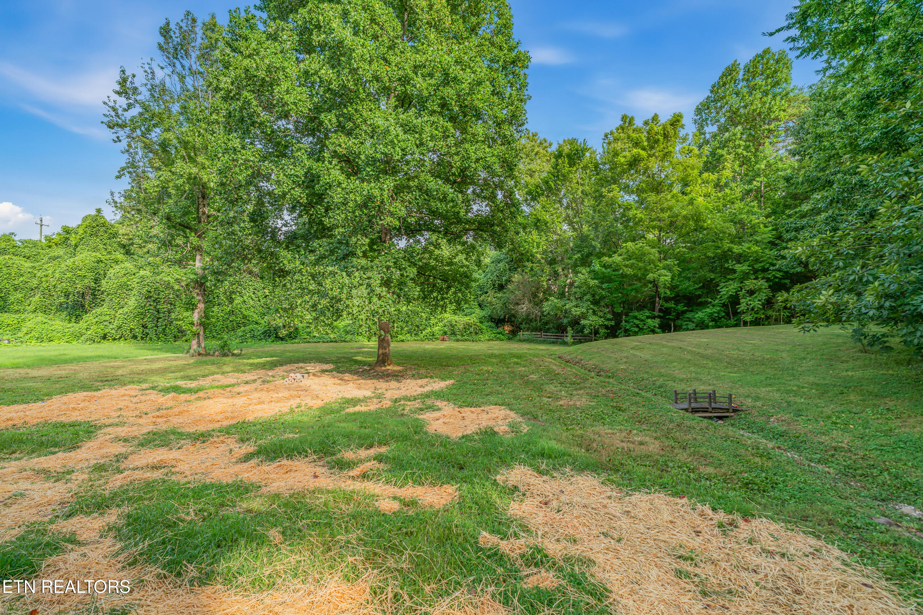 115 E Norton Road Knoxville TN 37920