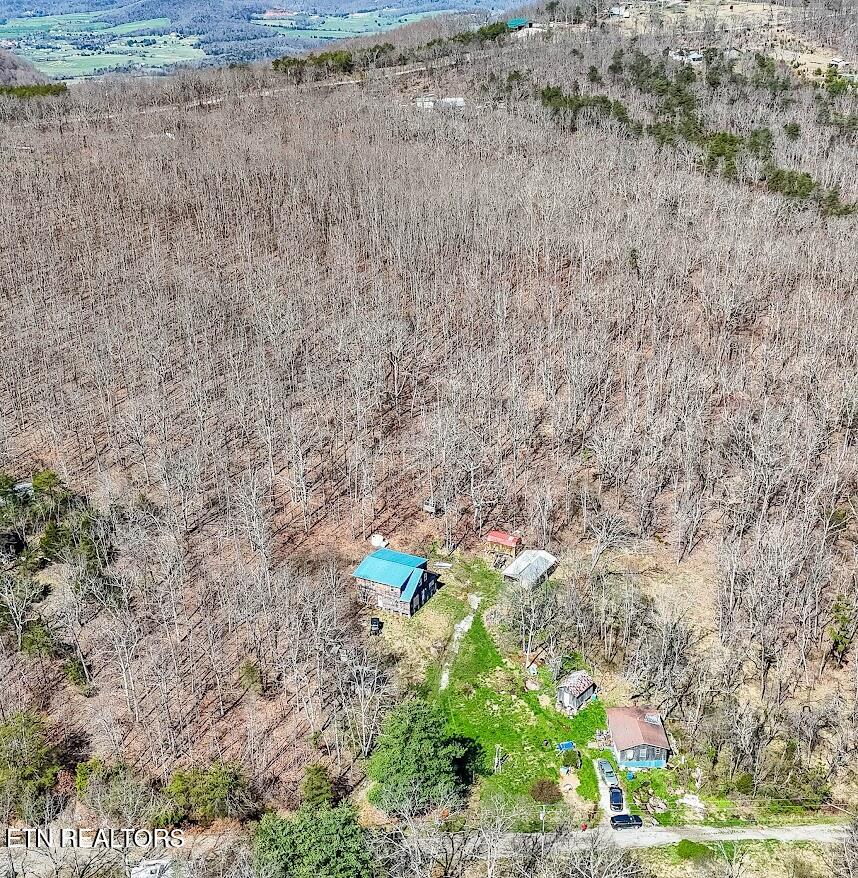 245 Raenne Drive Spring City TN 37381