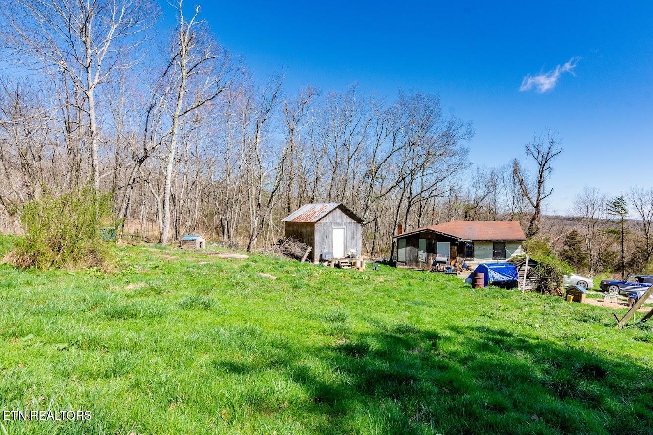 245 Raenne Drive Spring City TN 37381