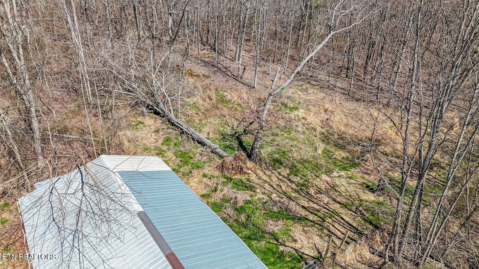 245 Raenne Drive Spring City TN 37381