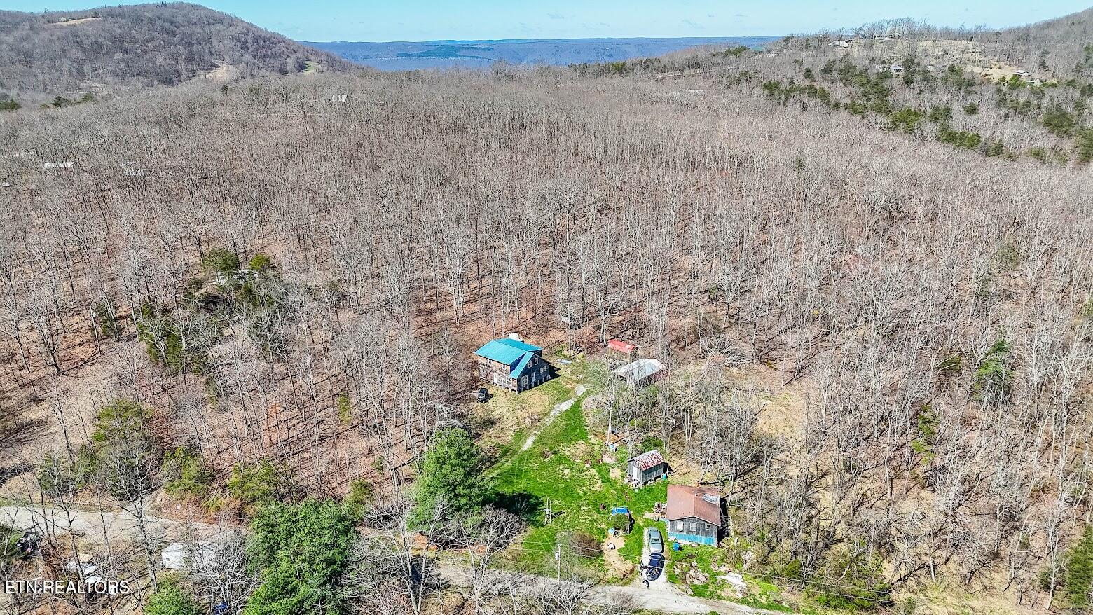 245 Raenne Drive Spring City TN 37381