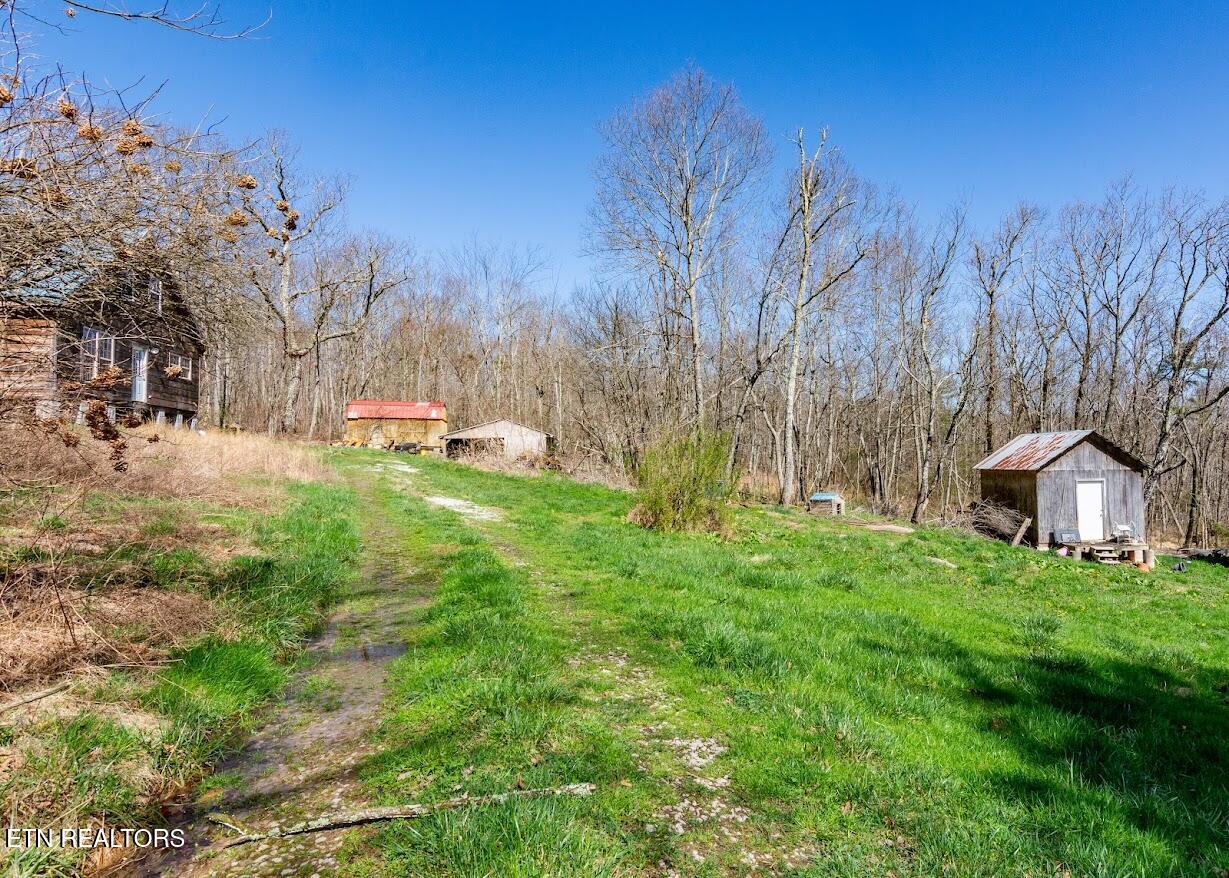 245 Raenne Drive Spring City TN 37381