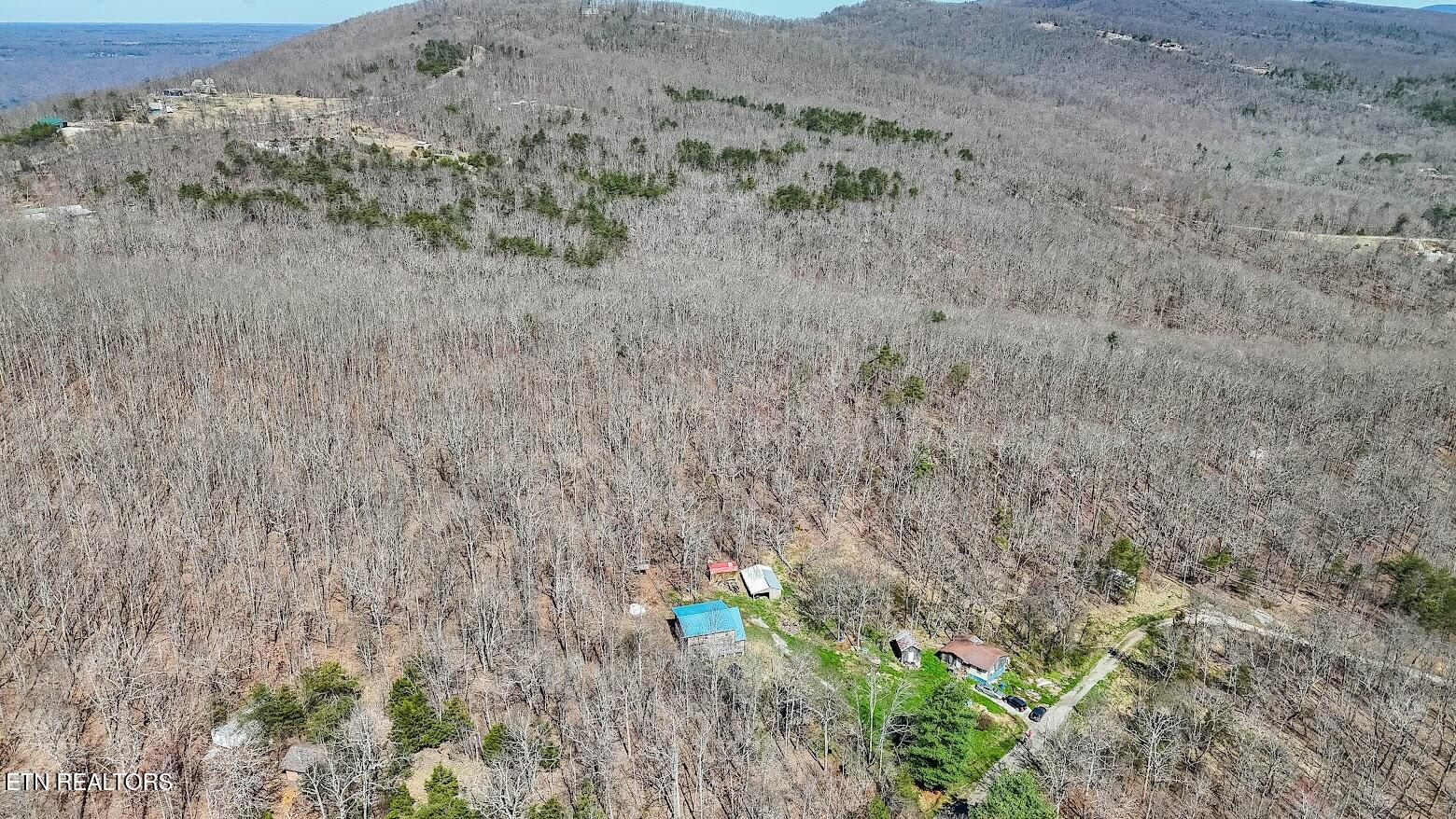 245 Raenne Drive Spring City TN 37381