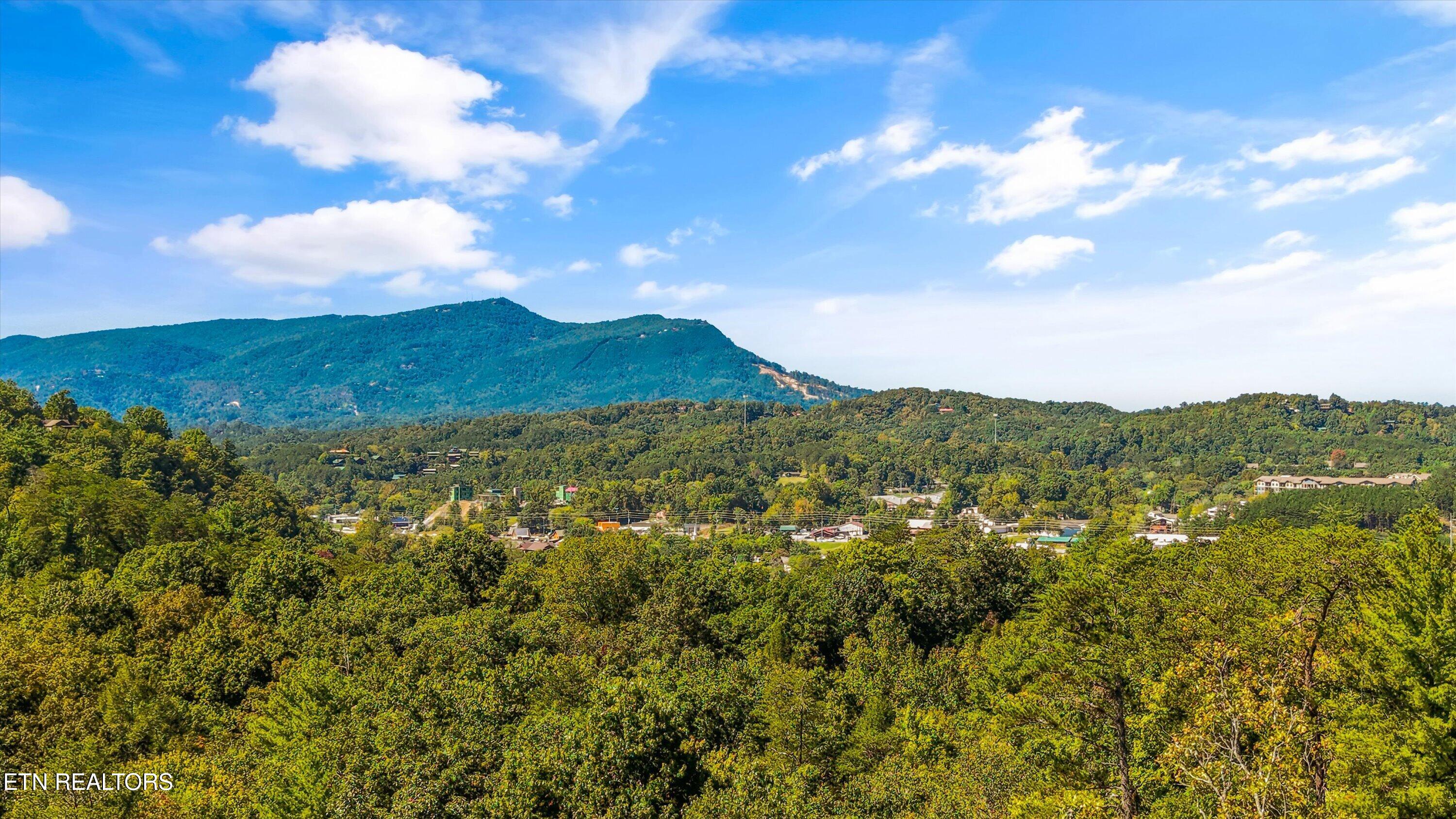 641 Country Oaks Drive Pigeon Forge TN 37863