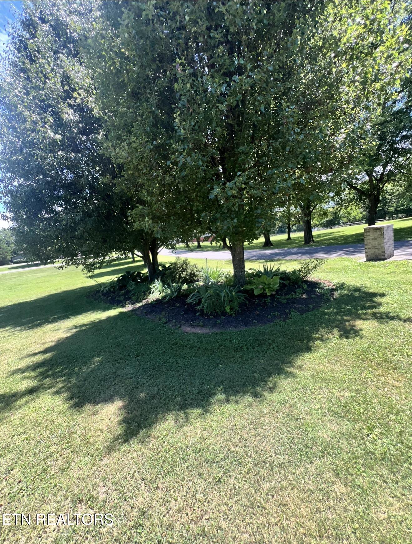 2449 Oakview Lane Sevierville TN 37876