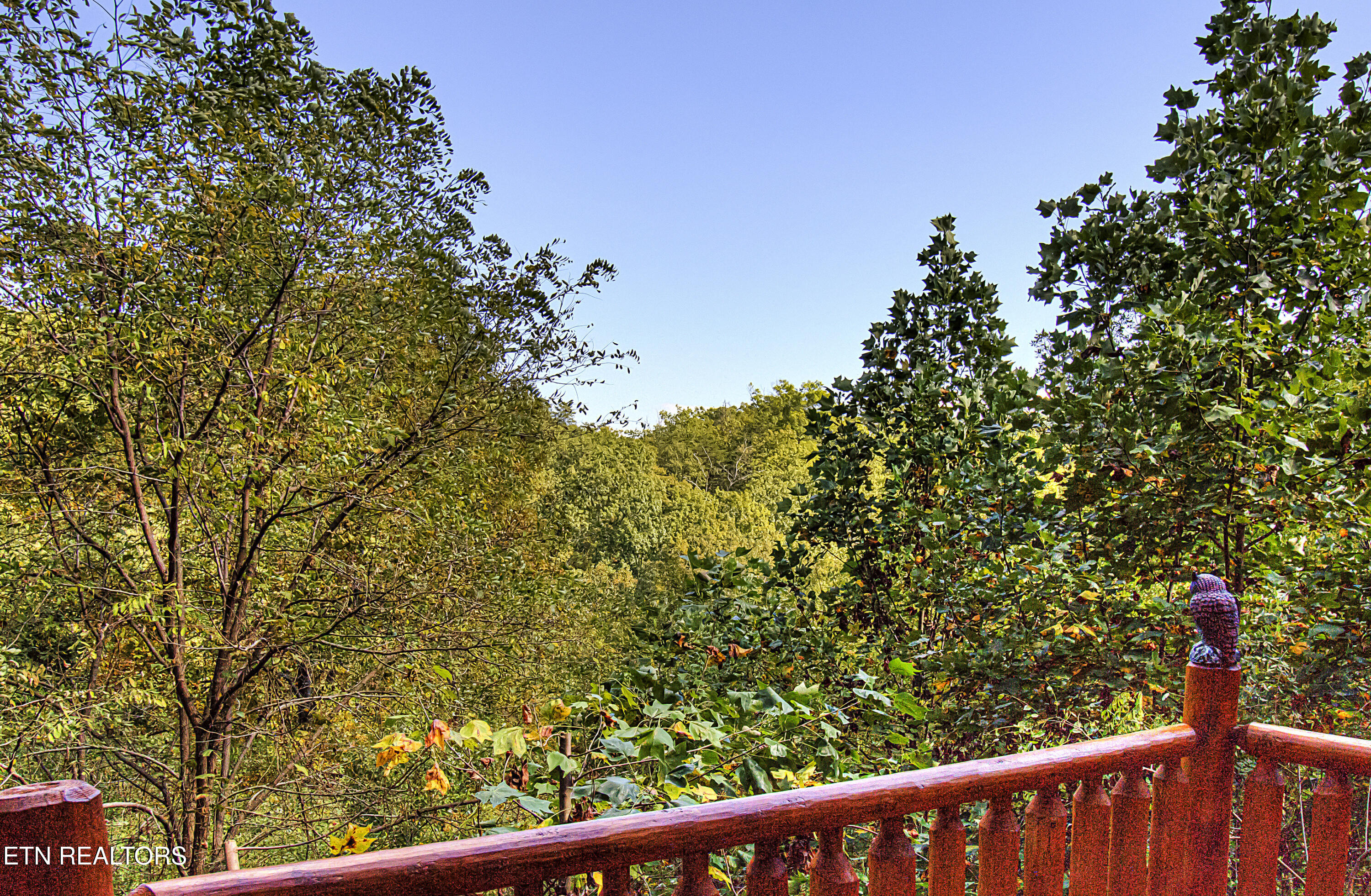 2184 Spence Mountain Loop Sevierville TN 37876