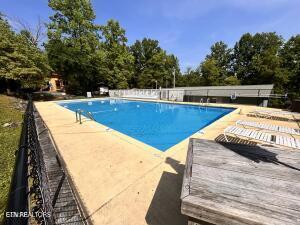 261 Lily Way Cosby TN 37722