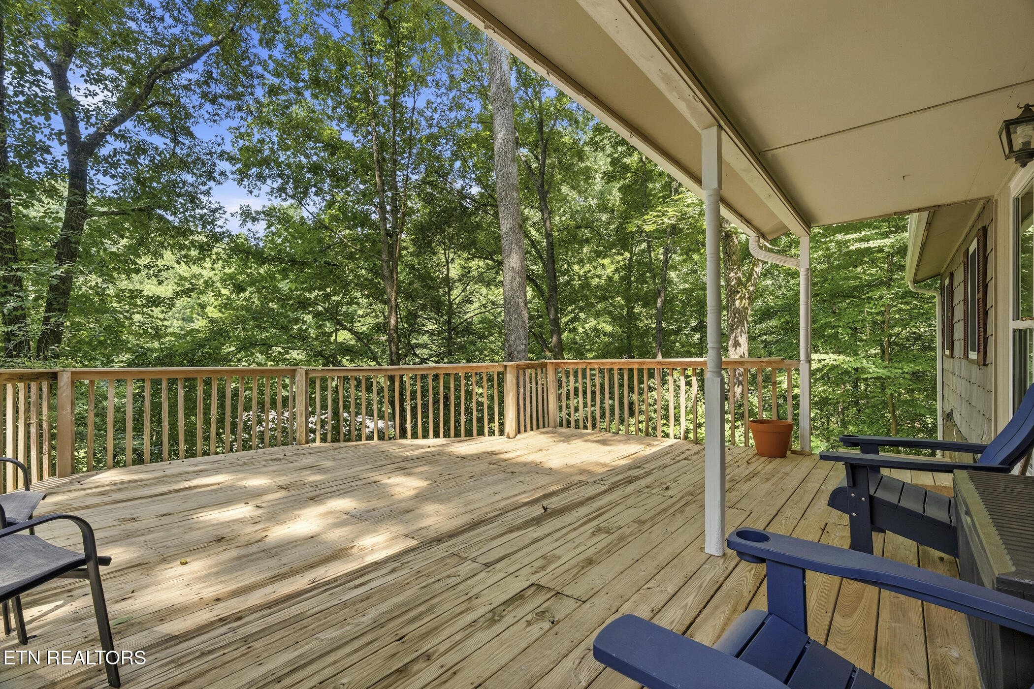 1007 S Ridge Place Sevierville TN 37876