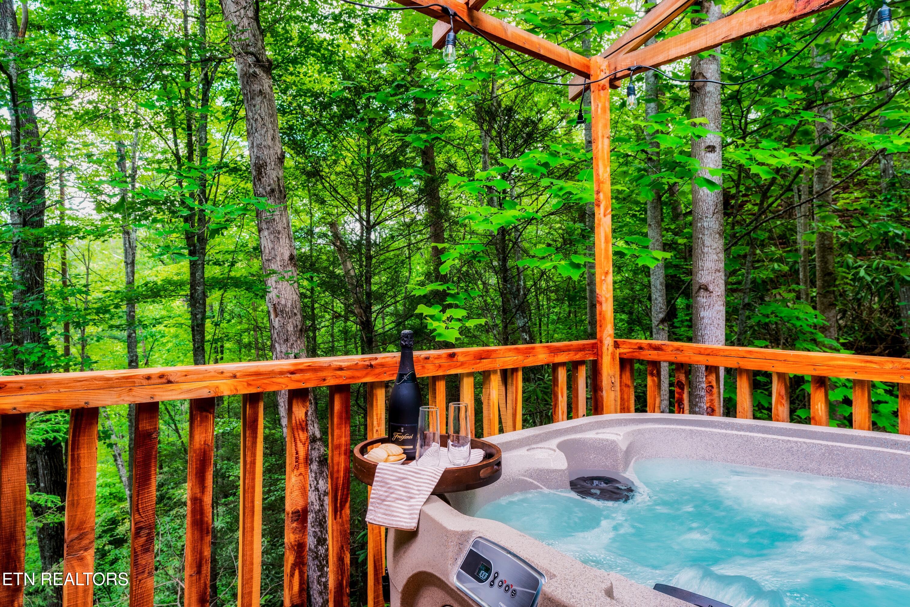 3049 Brothers Way Sevierville TN 37862