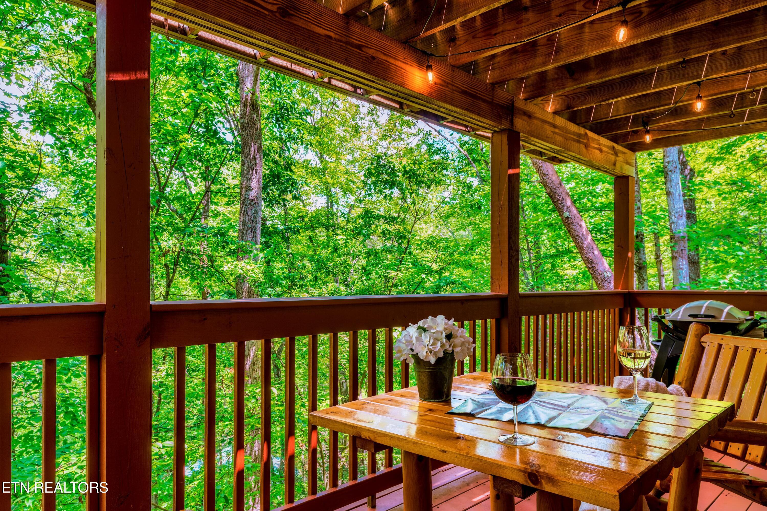 3049 Brothers Way Sevierville TN 37862