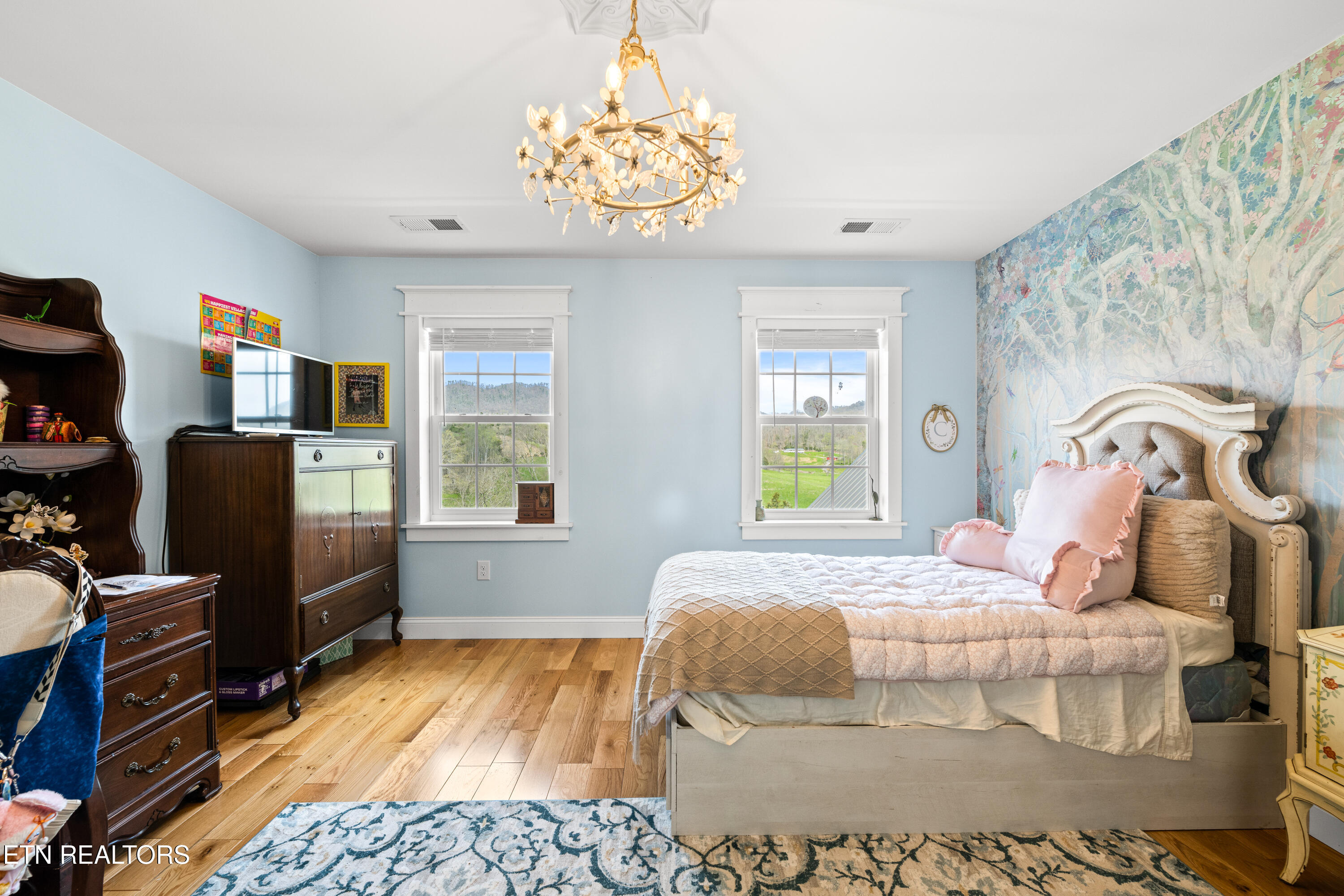159 Canary Lane Speedwell TN 37870