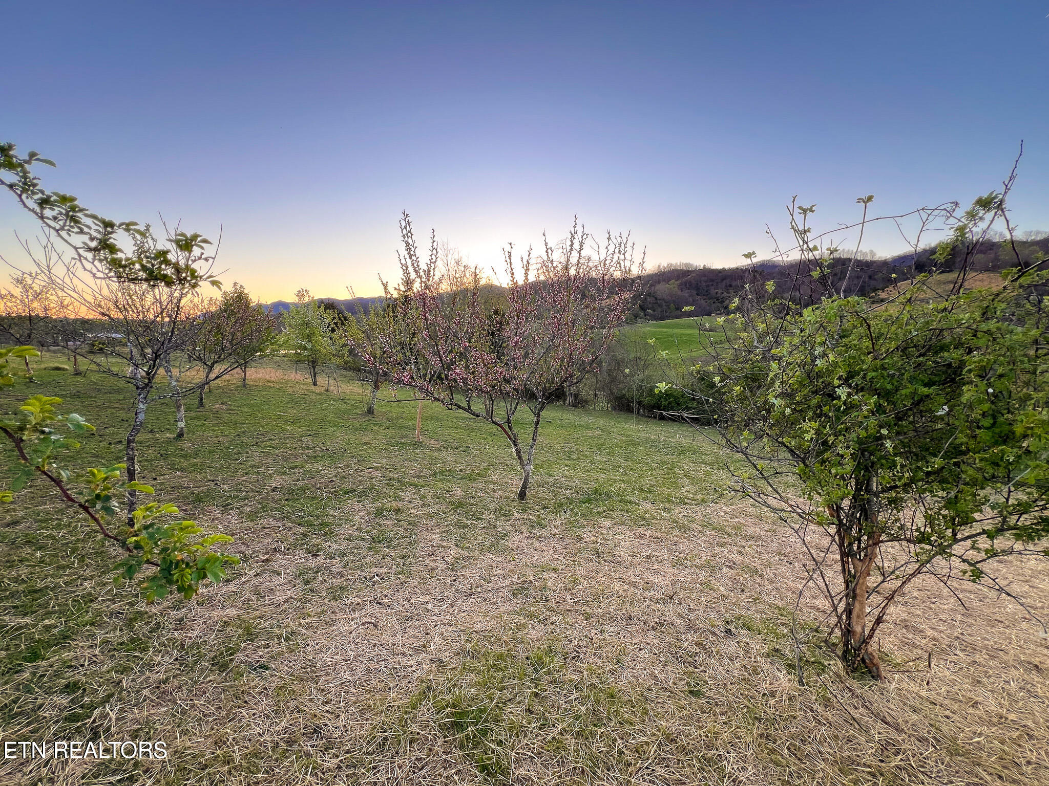 159 Canary Lane Speedwell TN 37870