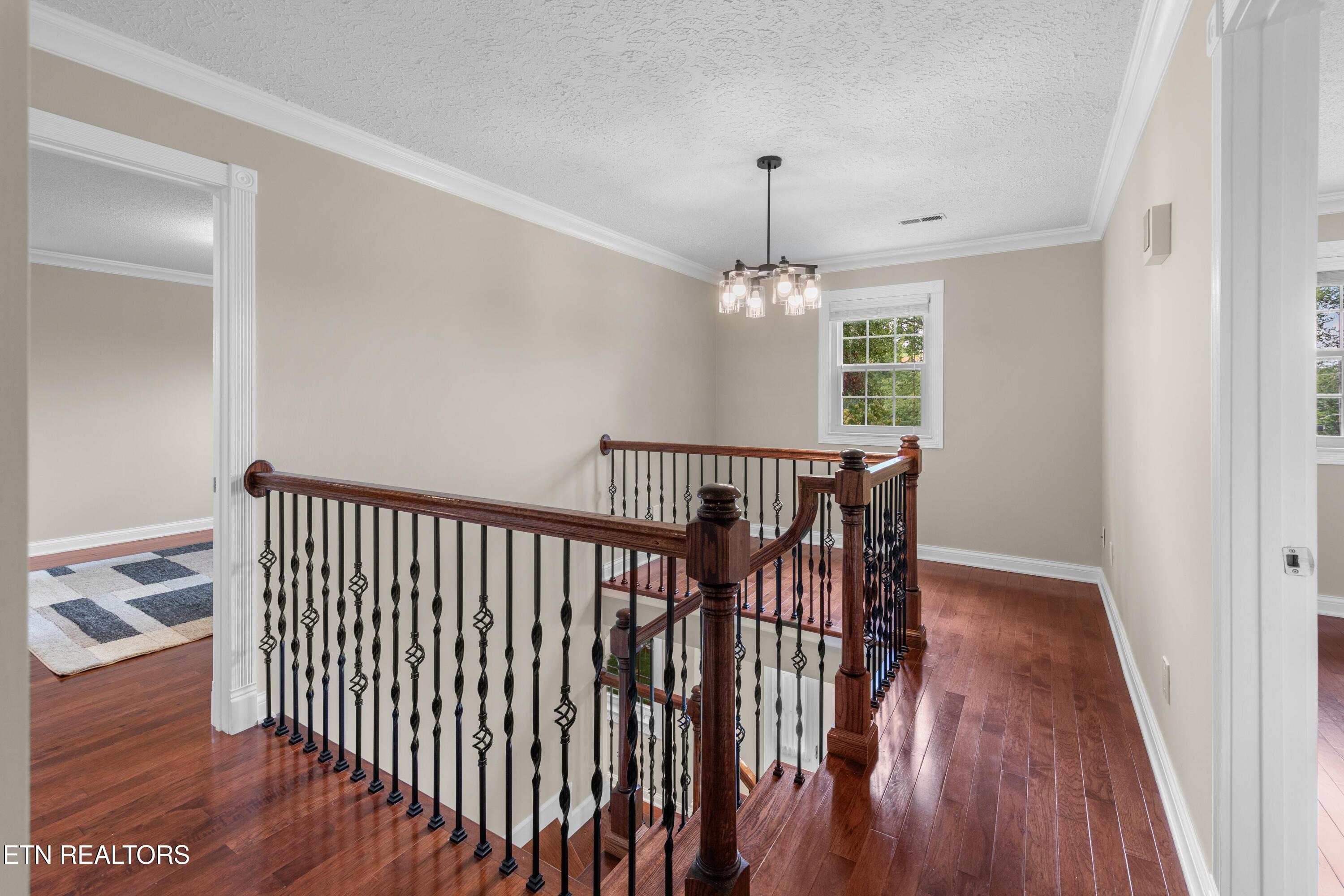 11321 Birch Springs Drive Knoxville TN 37932