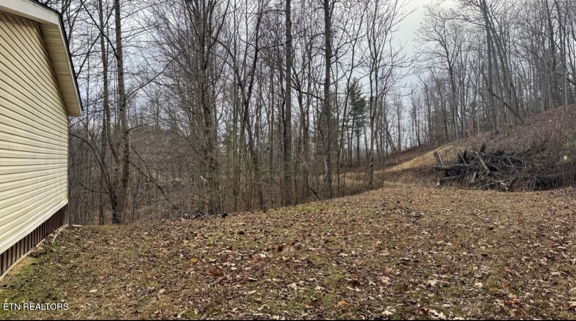 135 Harold Brooks Lane Oneida TN 37841