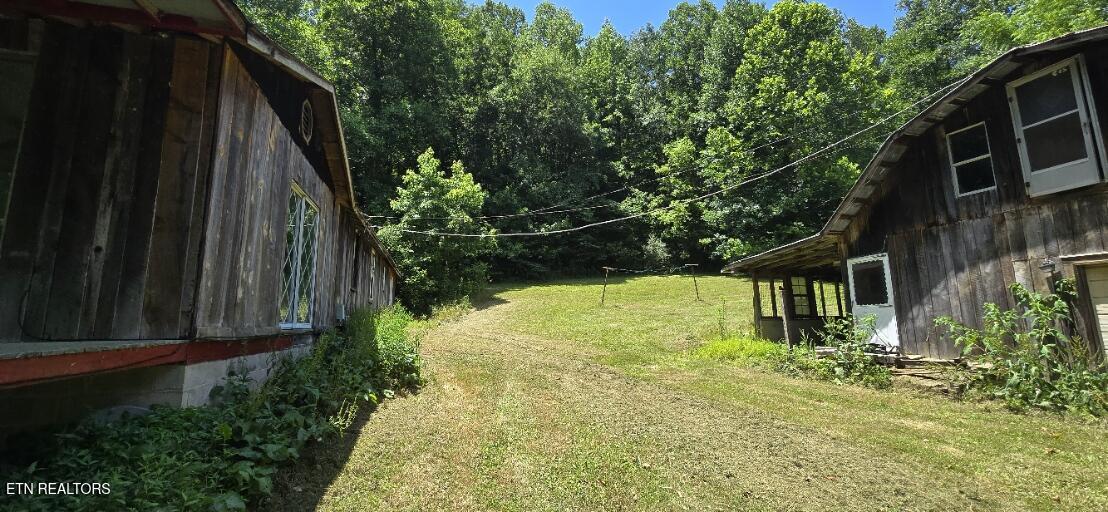 3894 Buffalo Road Oneida TN 37841