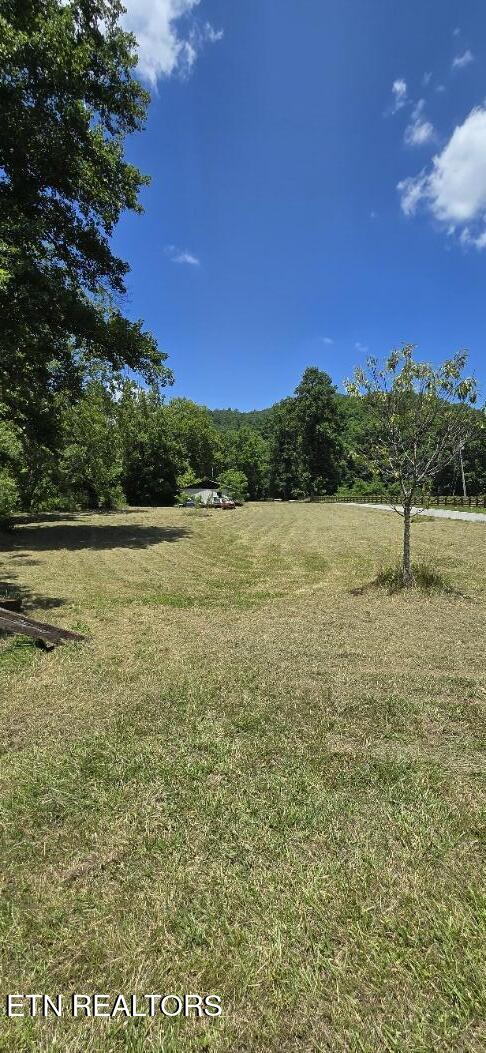 3894 Buffalo Road Oneida TN 37841