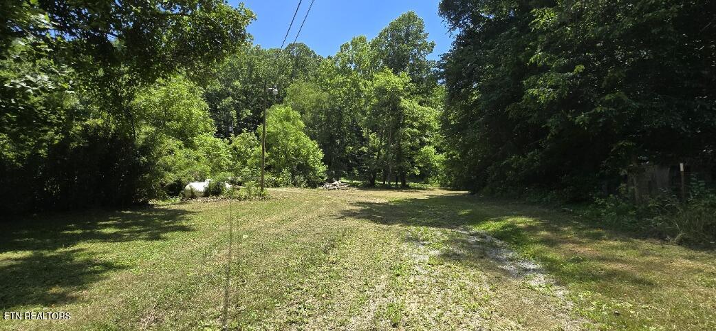 3894 Buffalo Road Oneida TN 37841