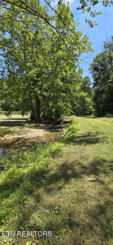 3894 Buffalo Road Oneida TN 37841