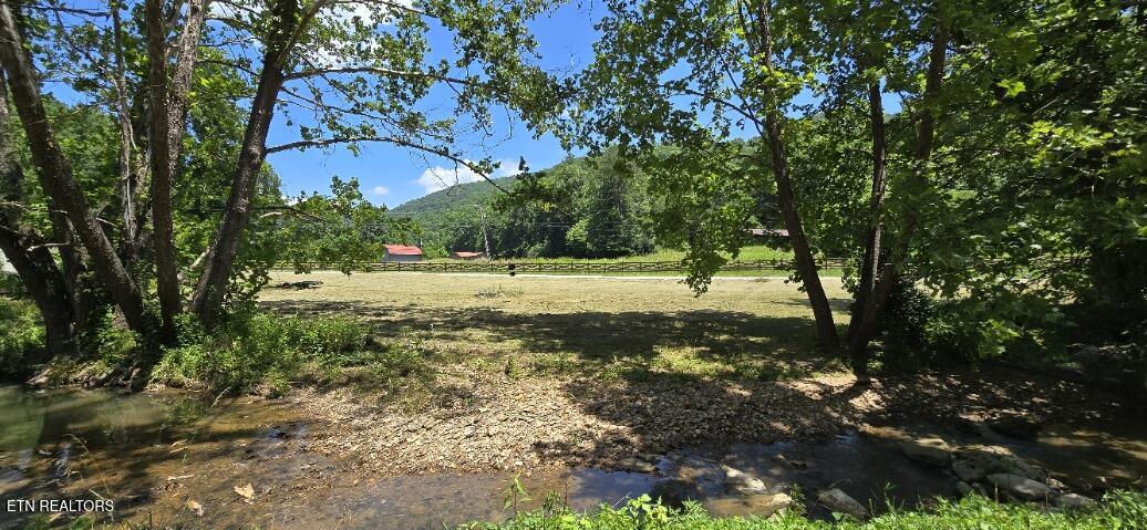 3894 Buffalo Road Oneida TN 37841
