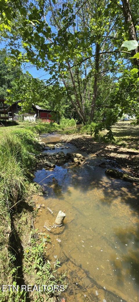 3894 Buffalo Road Oneida TN 37841