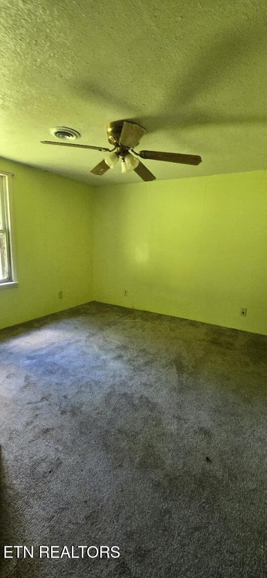3894 Buffalo Road Oneida TN 37841