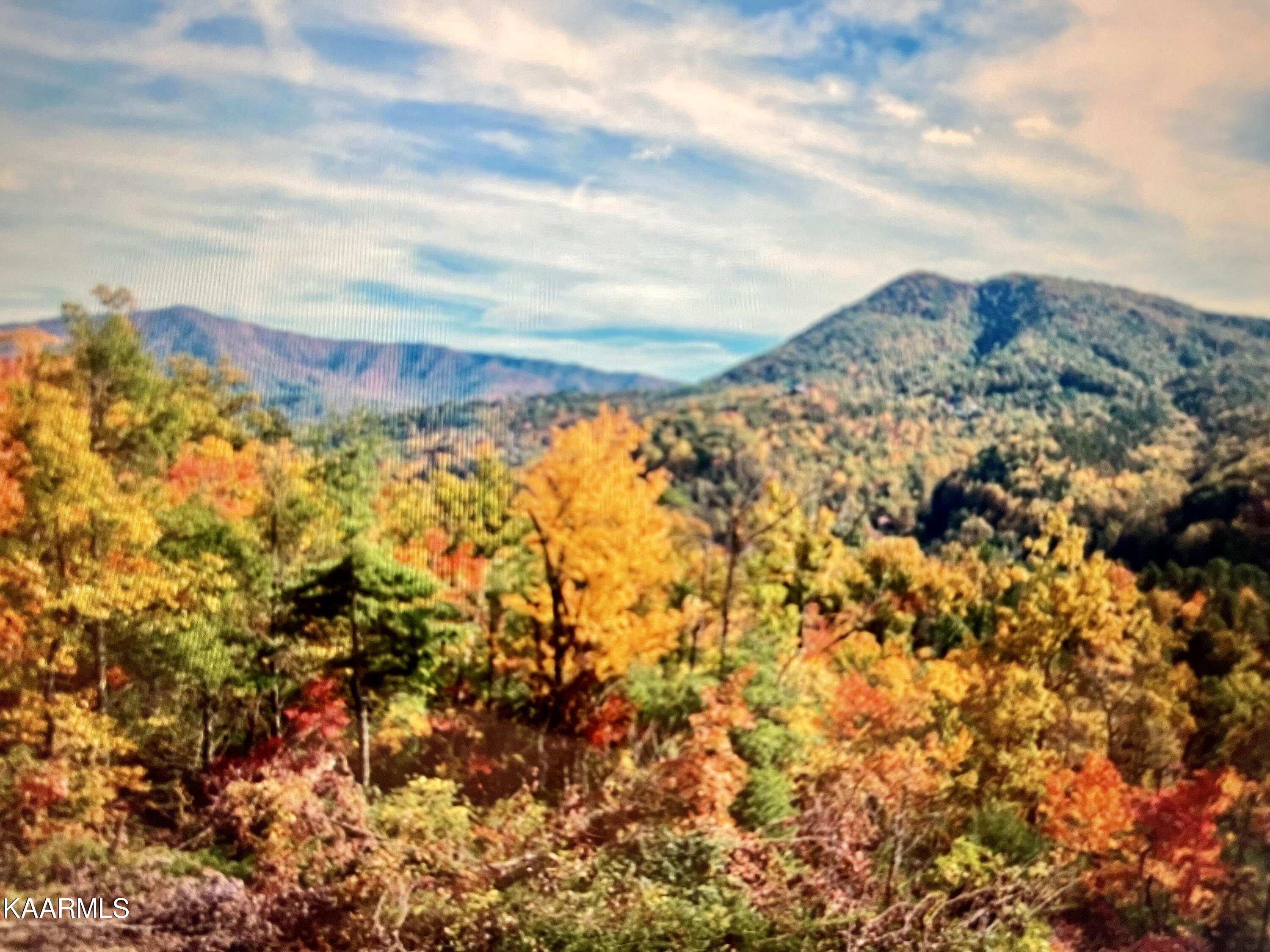 4228 Wears Valley Road Sevierville TN 37862