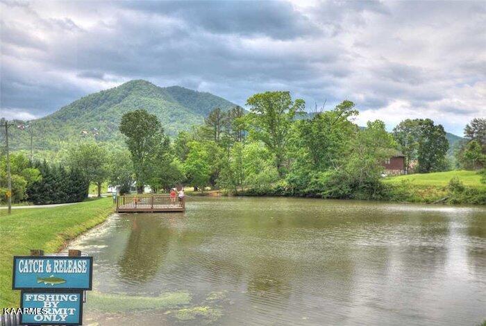4228 Wears Valley Road Sevierville TN 37862