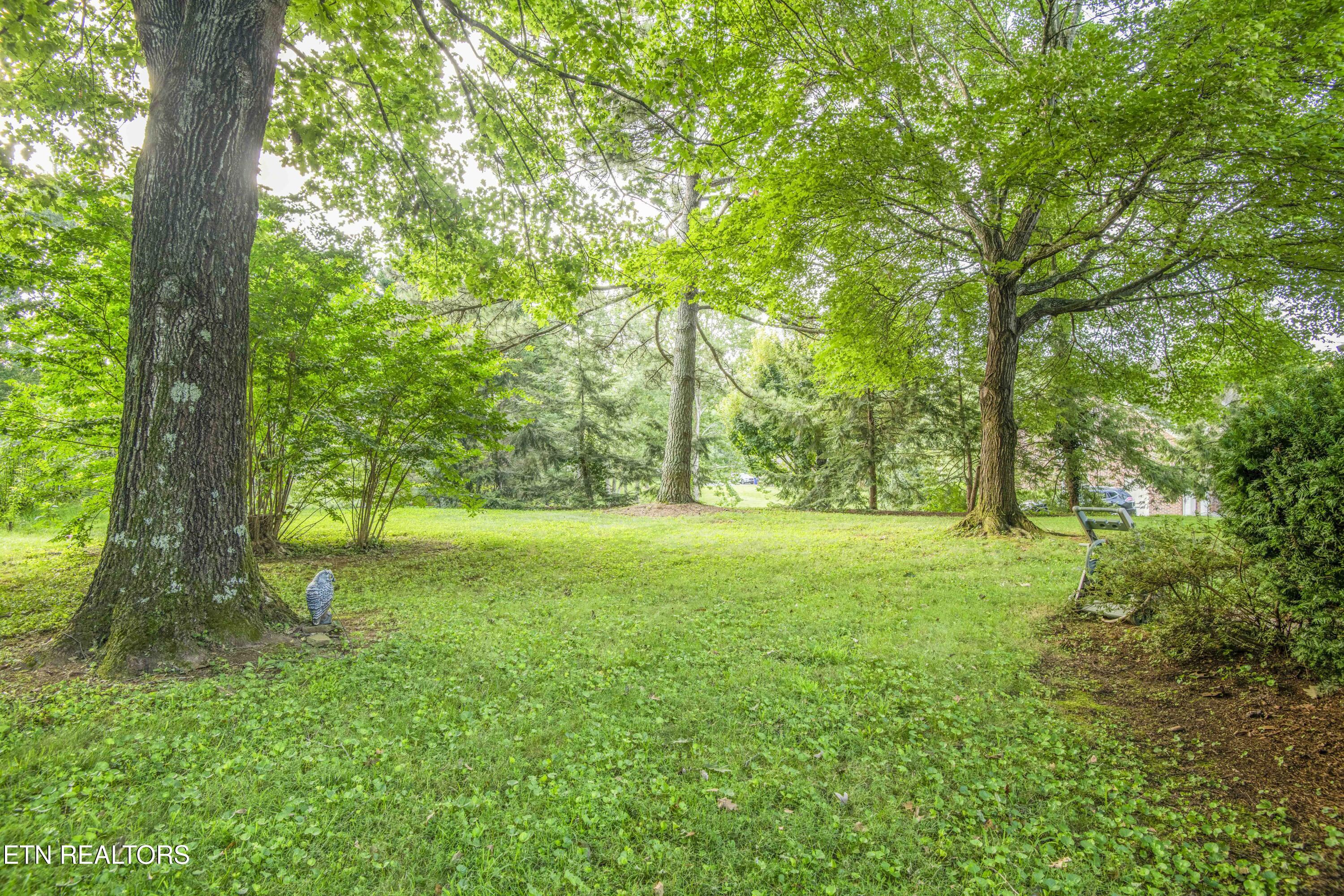 204 Nutwood Circle Knoxville TN 37934