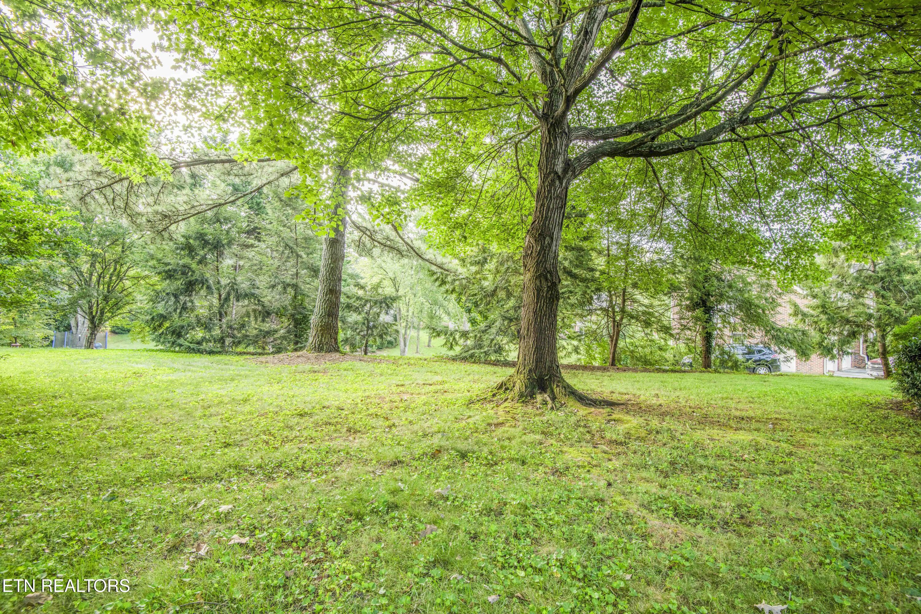 204 Nutwood Circle Knoxville TN 37934