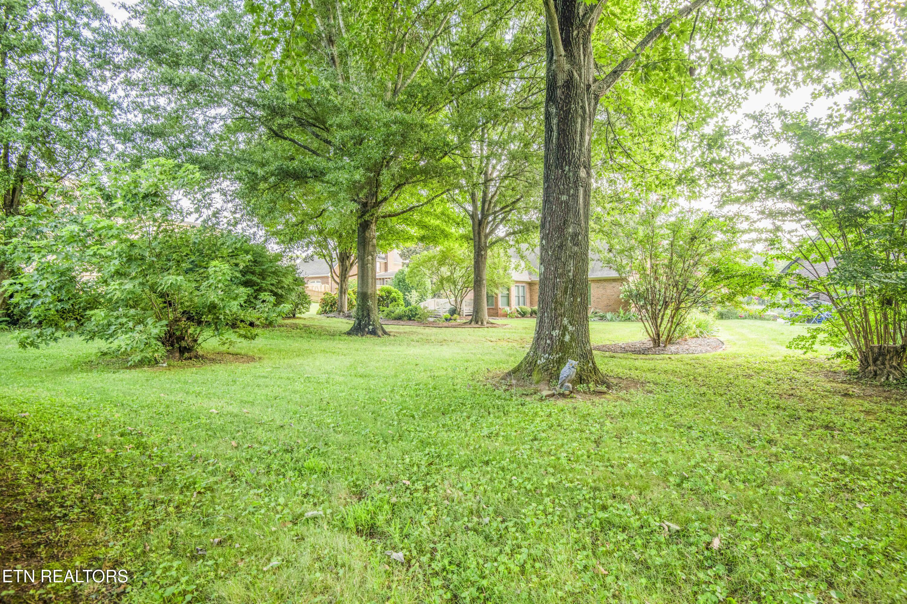 204 Nutwood Circle Knoxville TN 37934
