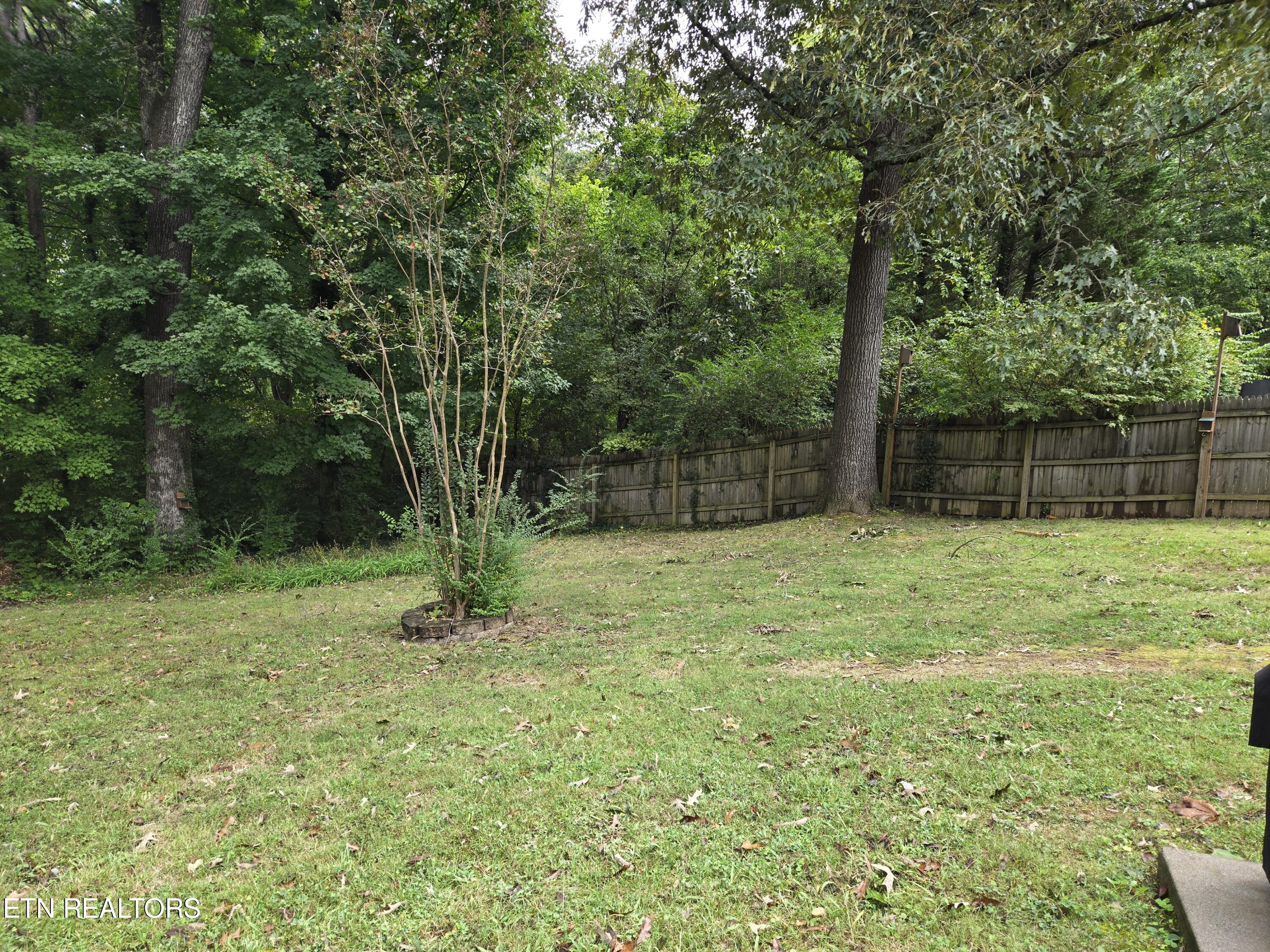 1138 Park Hill Circle Knoxville TN 37909