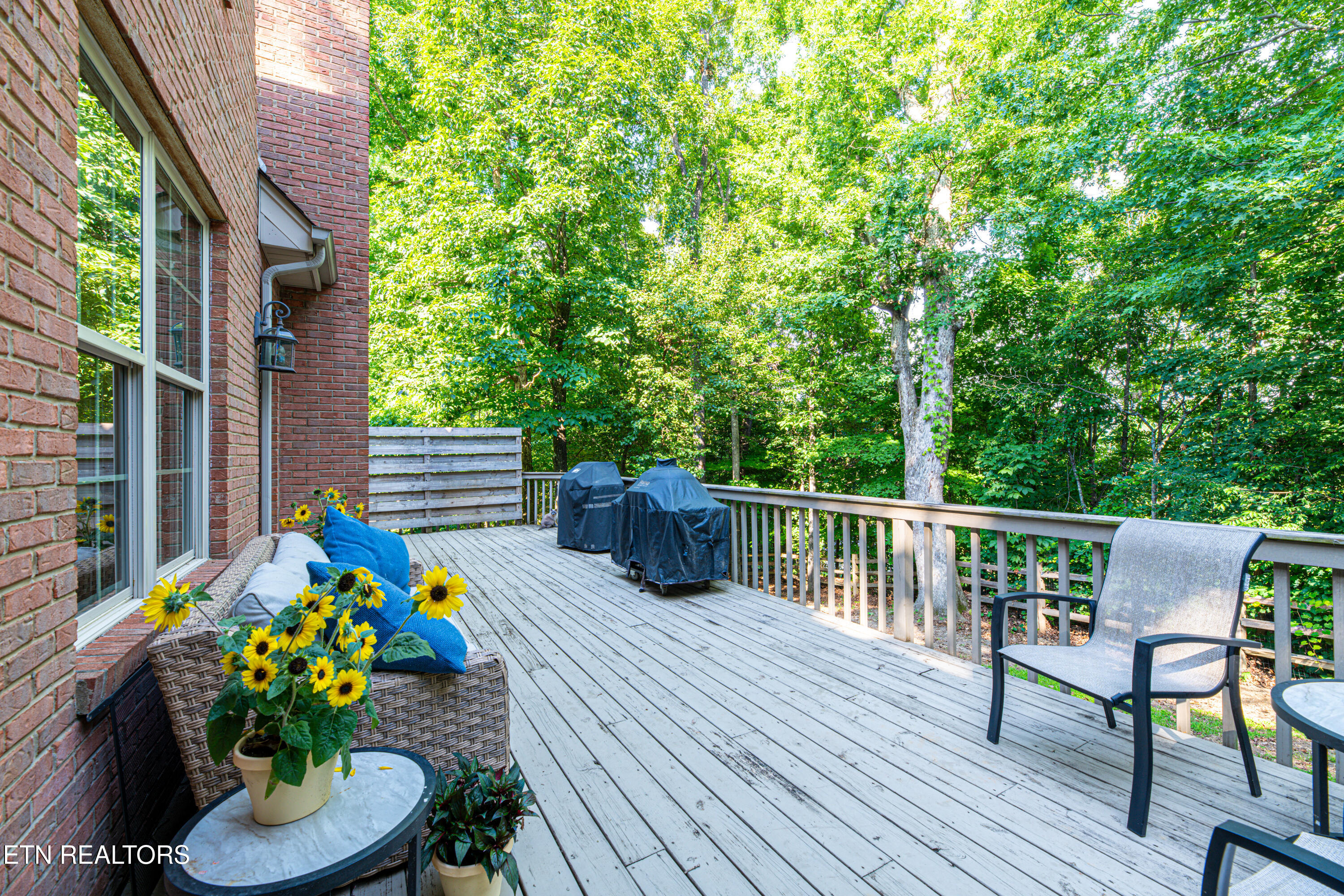 1805 Shady Hollow Lane Knoxville TN 37922