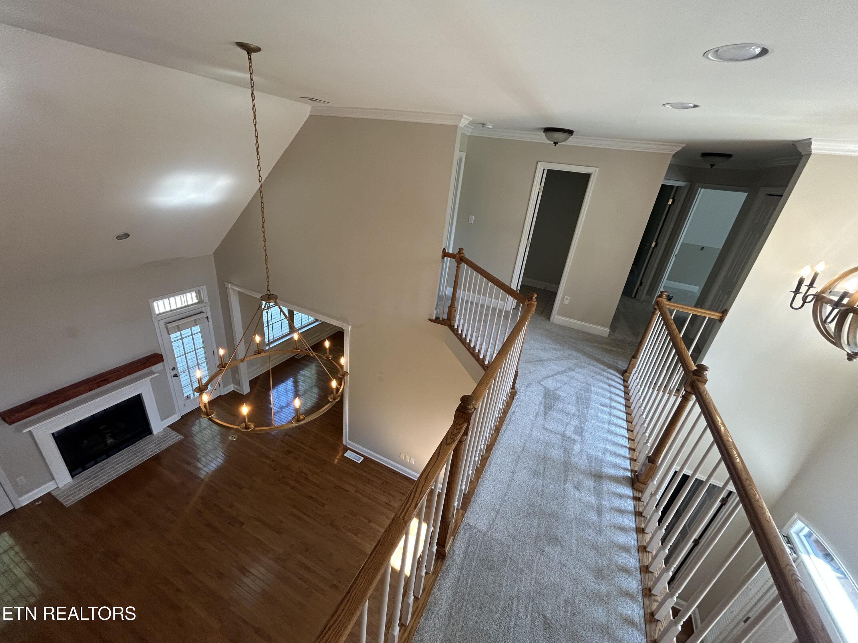 1805 Shady Hollow Lane Knoxville TN 37922