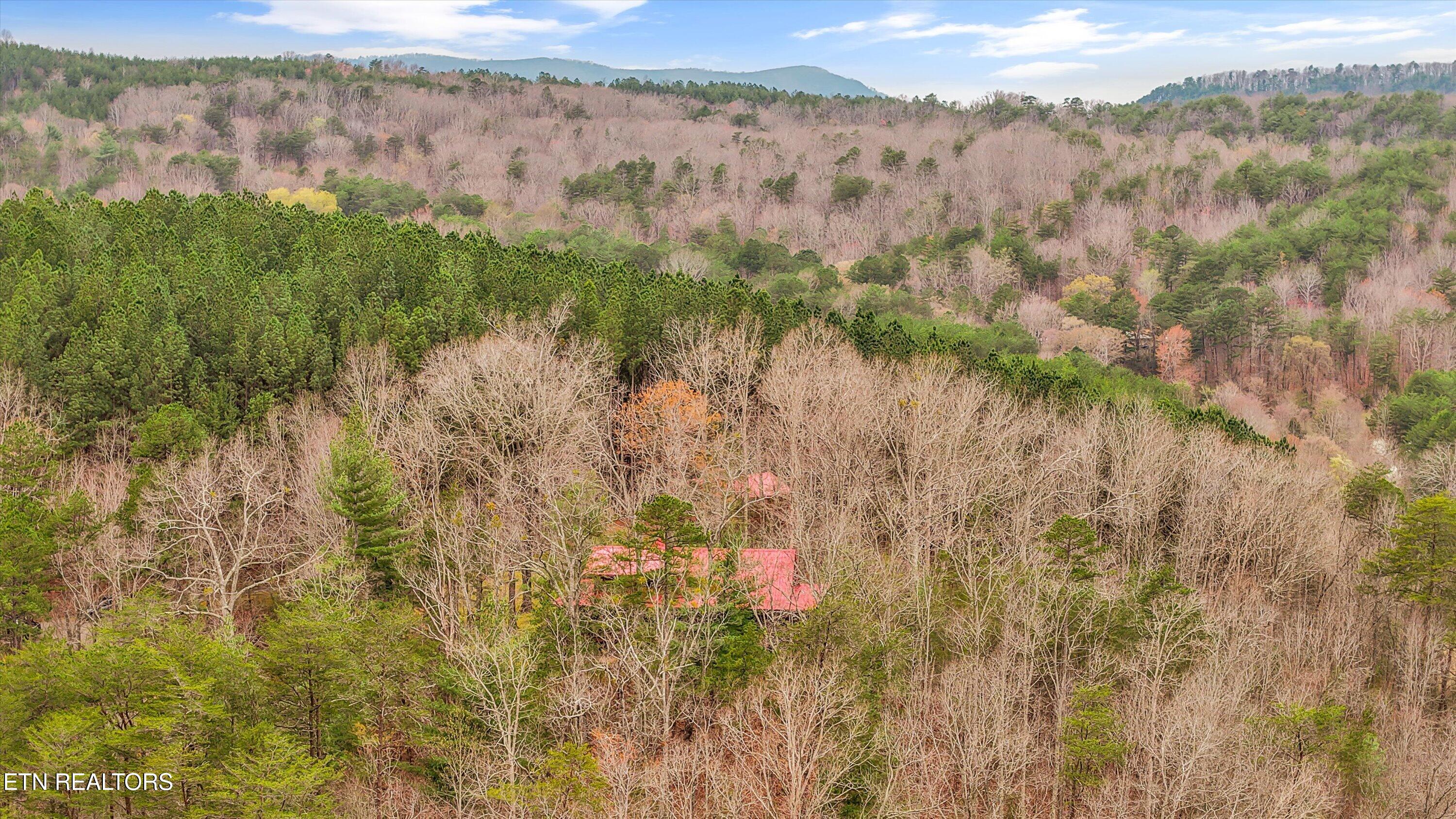 115 Martin Road Tellico Plains TN 37385