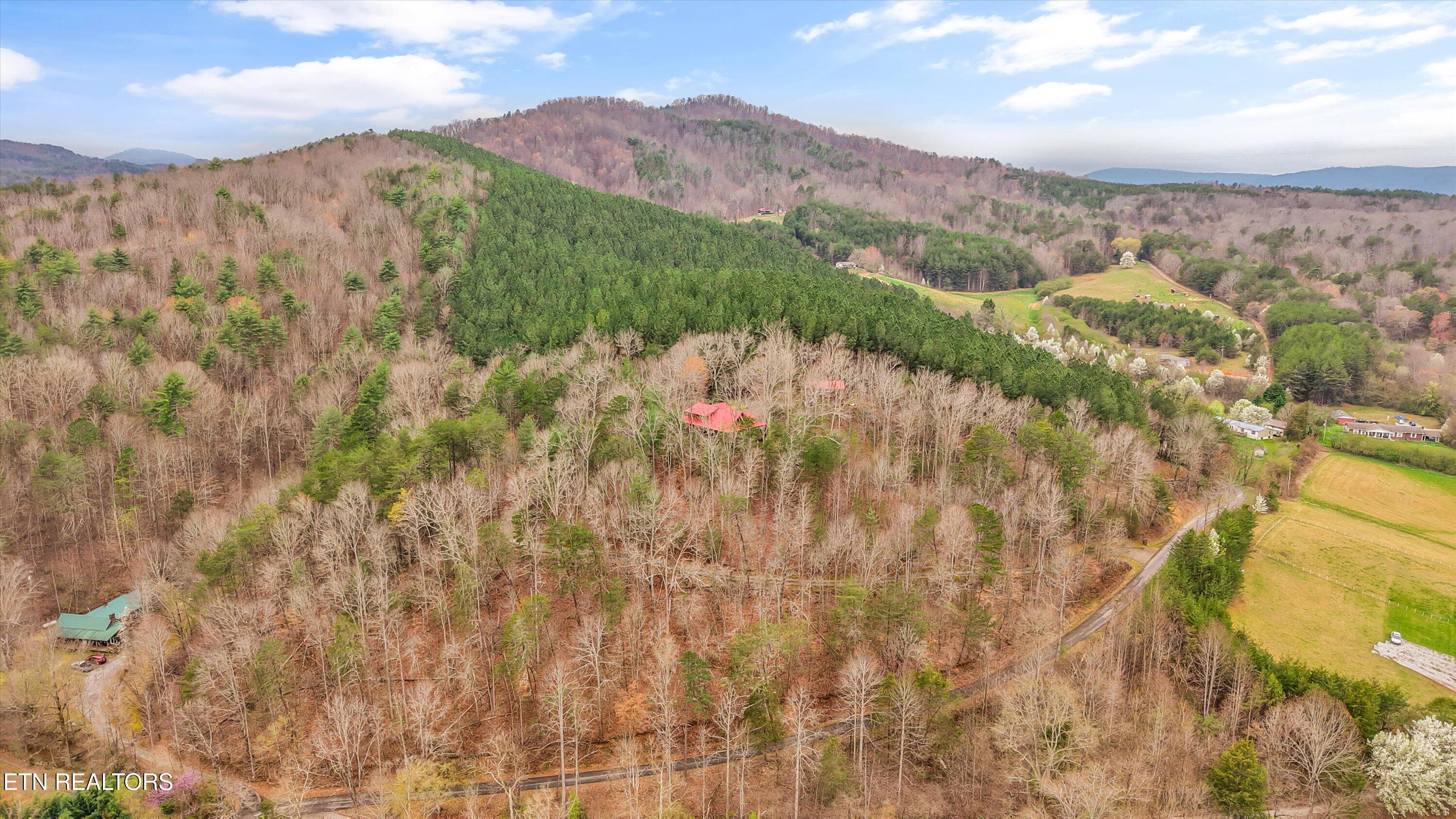 115 Martin Road Tellico Plains TN 37385