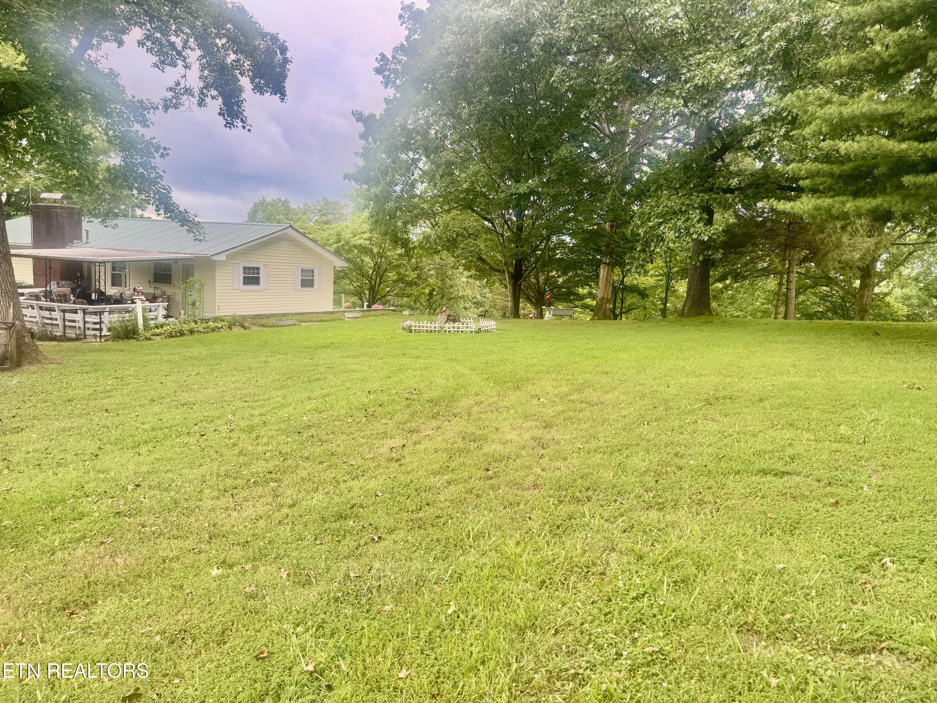 175 Clear Branch Road Rocky Top TN 37769