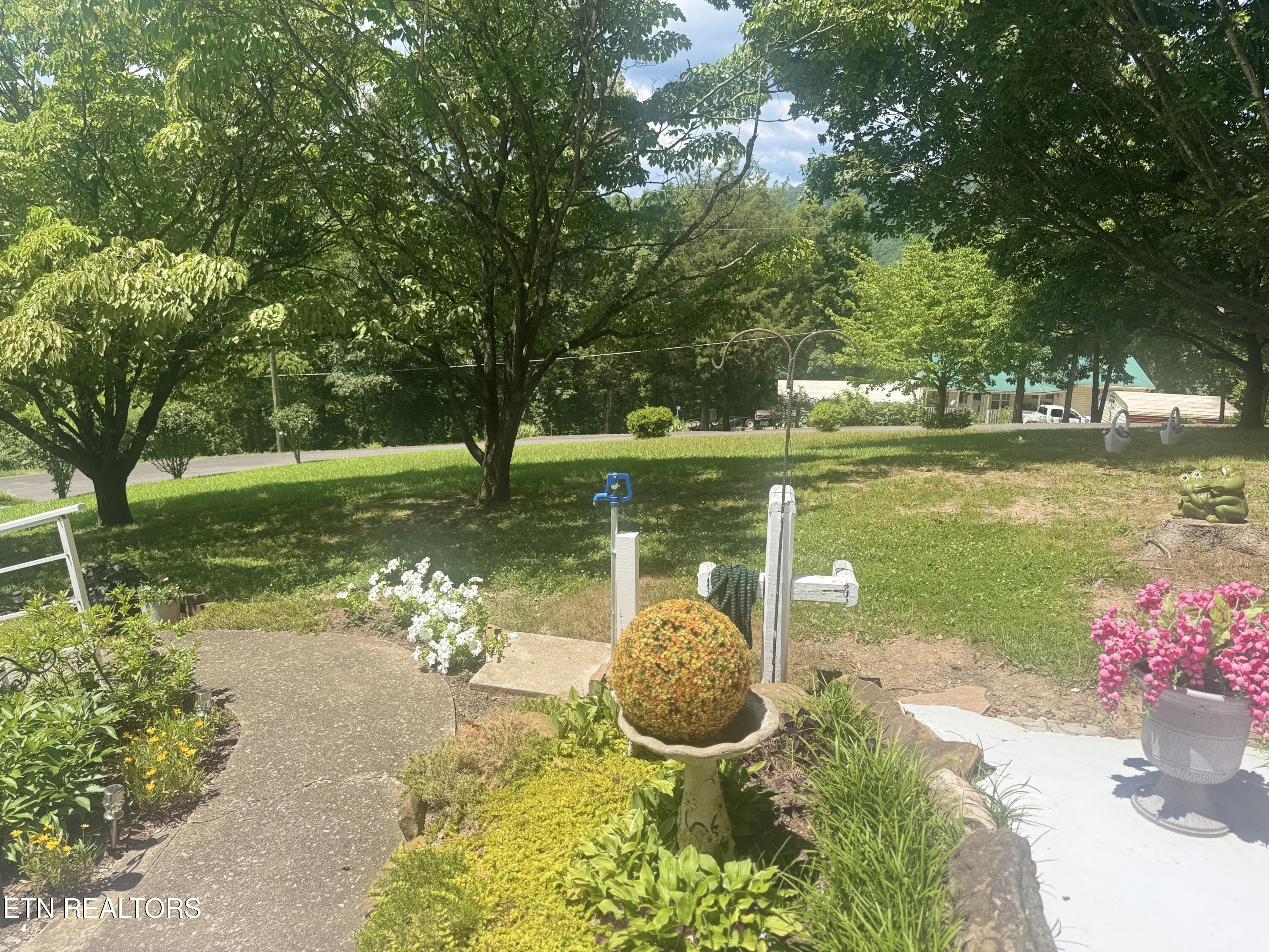 175 Clear Branch Road Rocky Top TN 37769