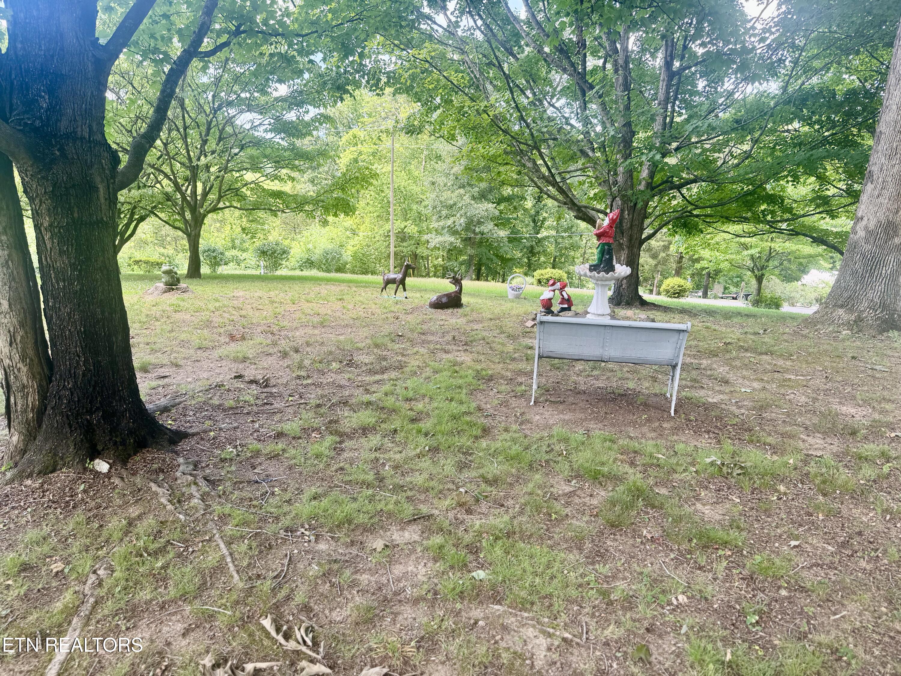 175 Clear Branch Road Rocky Top TN 37769
