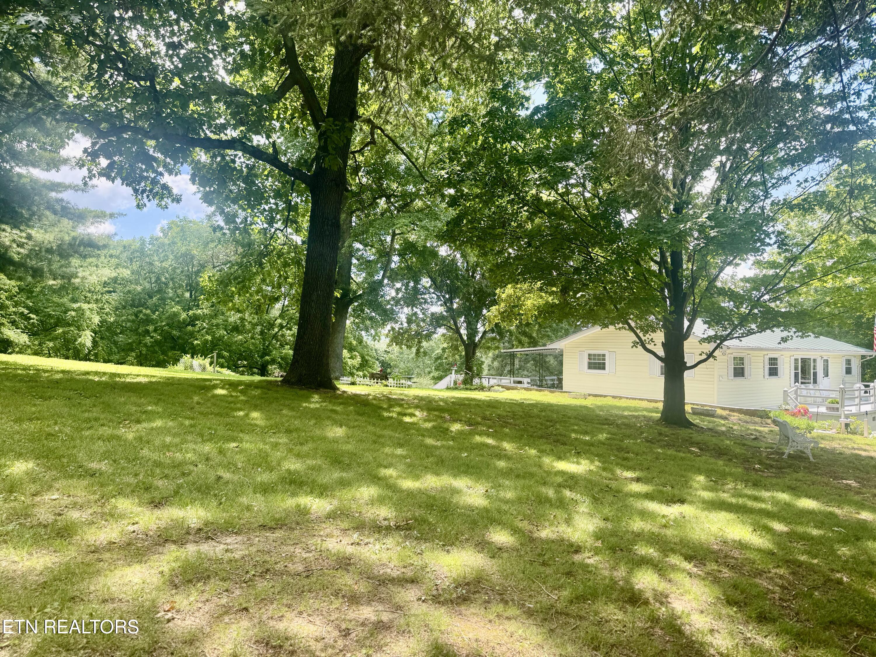 175 Clear Branch Road Rocky Top TN 37769