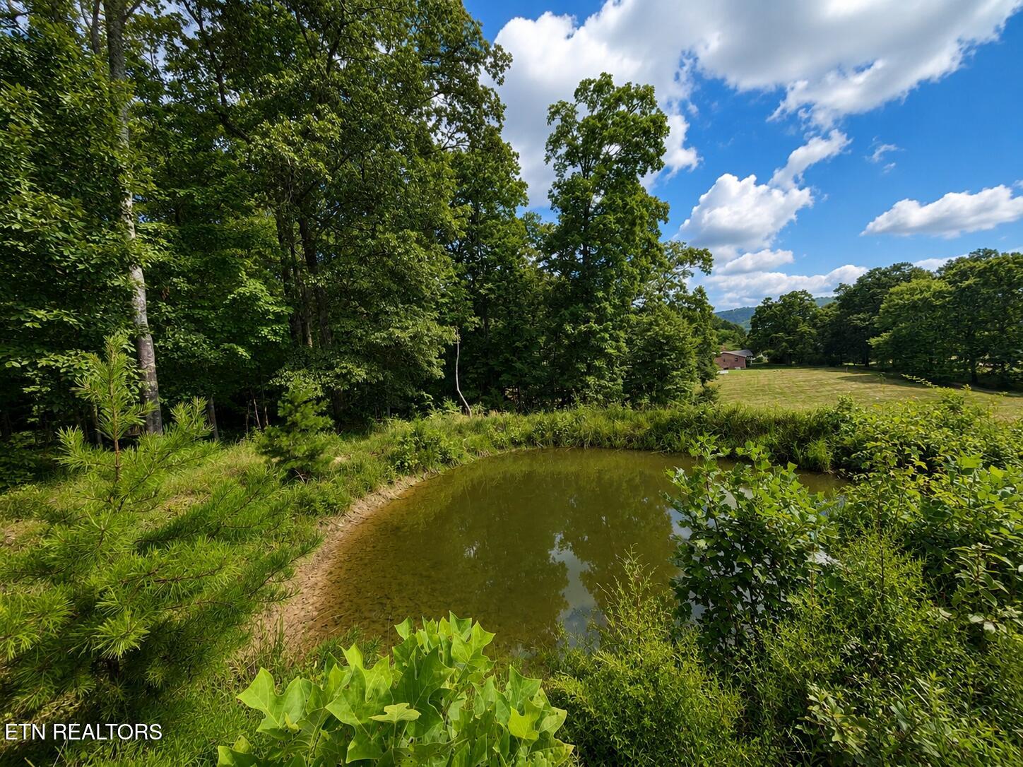 138 Keylon Hollow Road Ten Mile TN 37880
