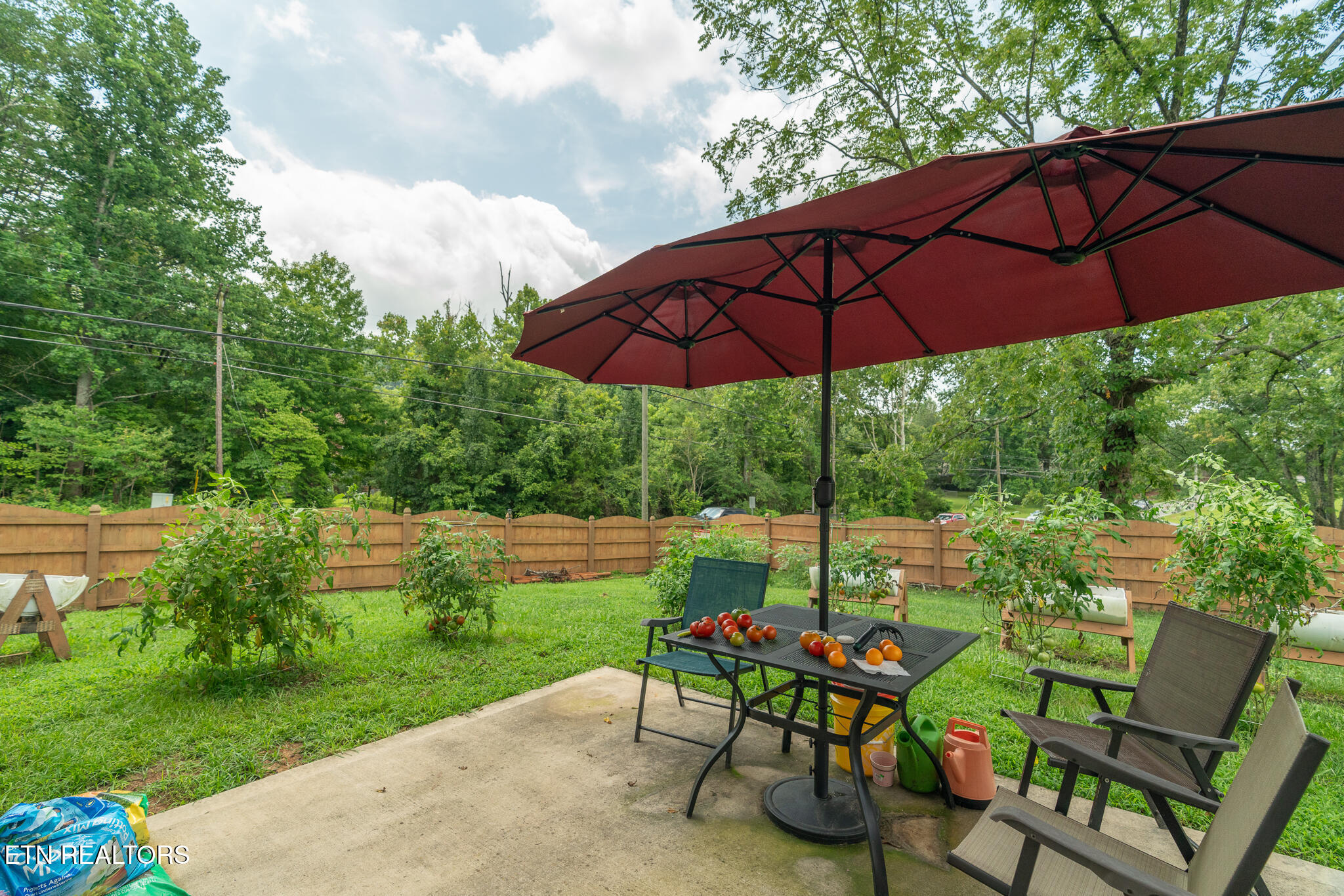 6901 Holliday Park Lane Knoxville TN 37918