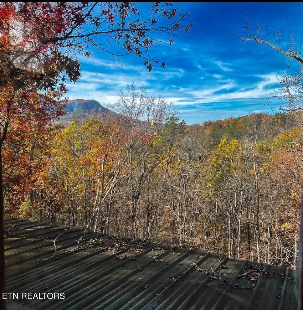 2864 Pine Haven Drive Sevierville TN 37862