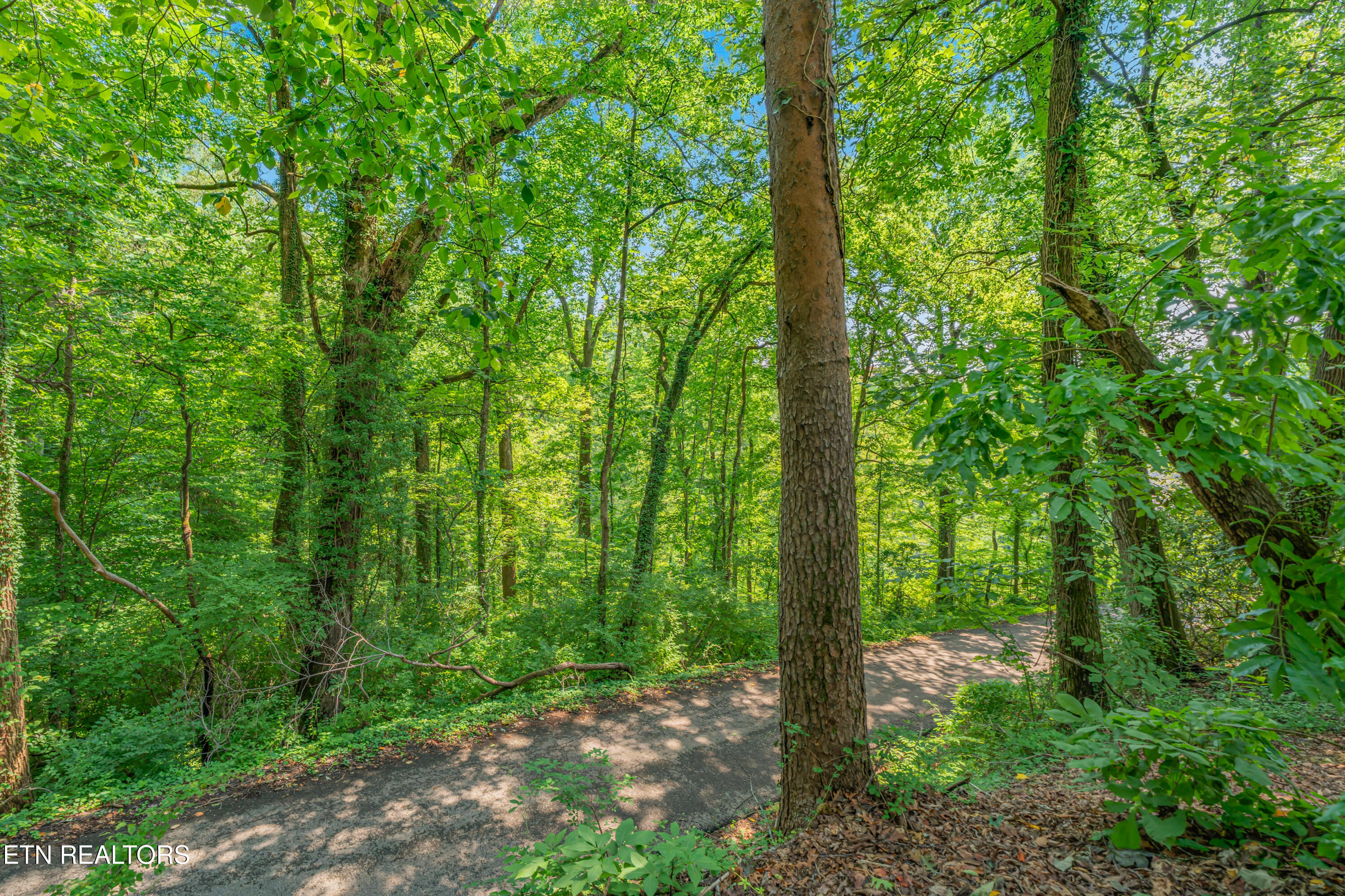 4617 Wye Way Lane Knoxville TN 37920