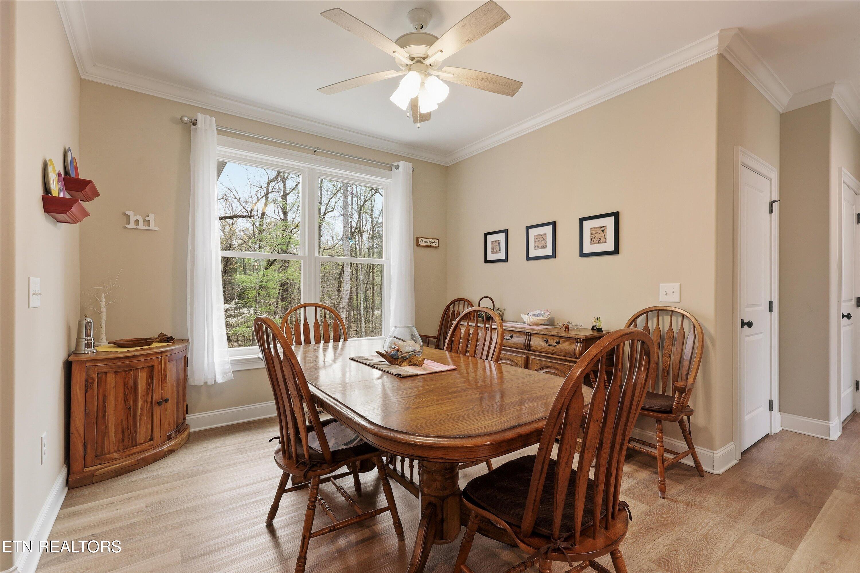 166 E Shore Drive Rockwood TN 37854