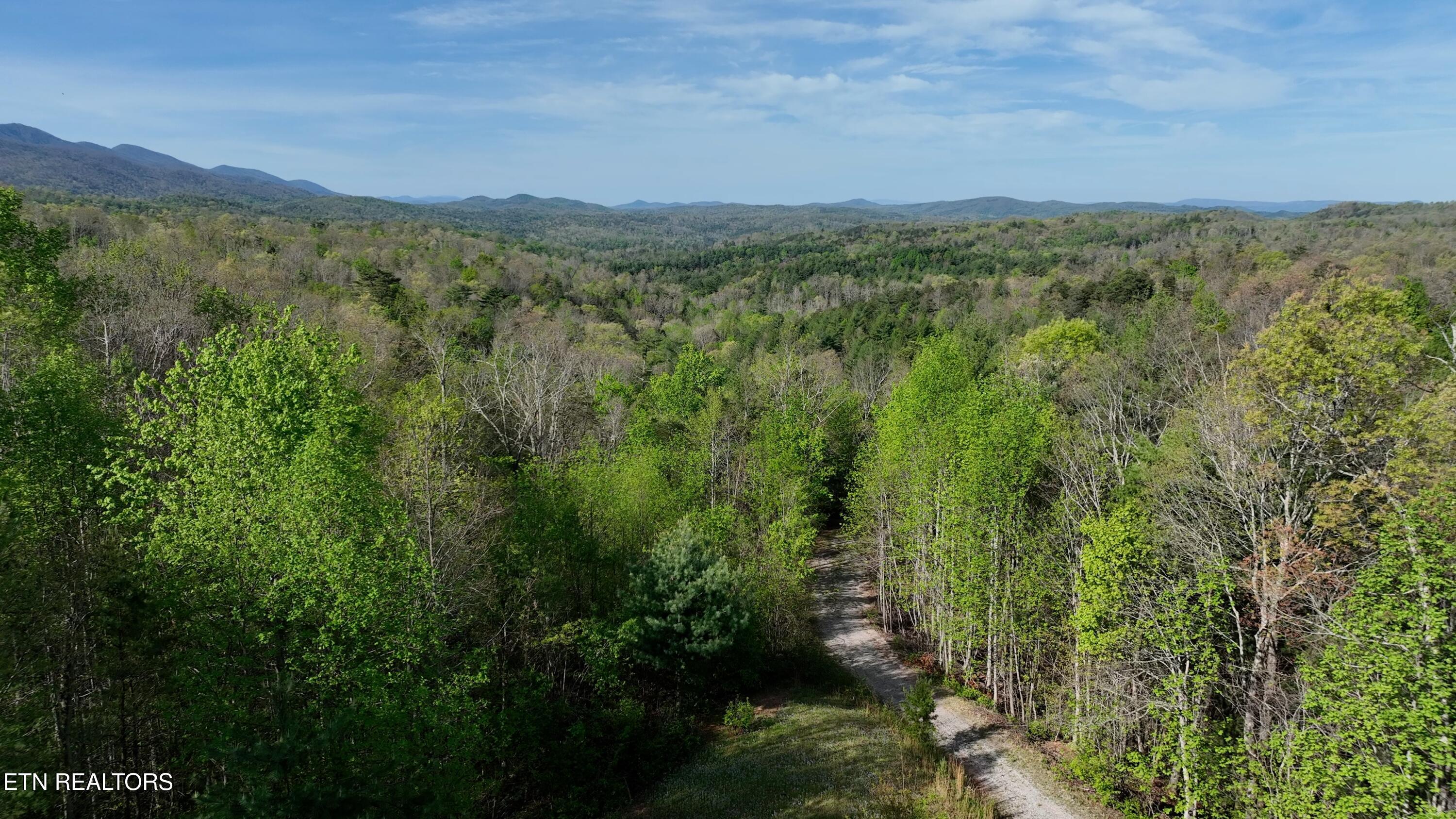 418 Turkey Creek Road Tellico Plains TN 37385