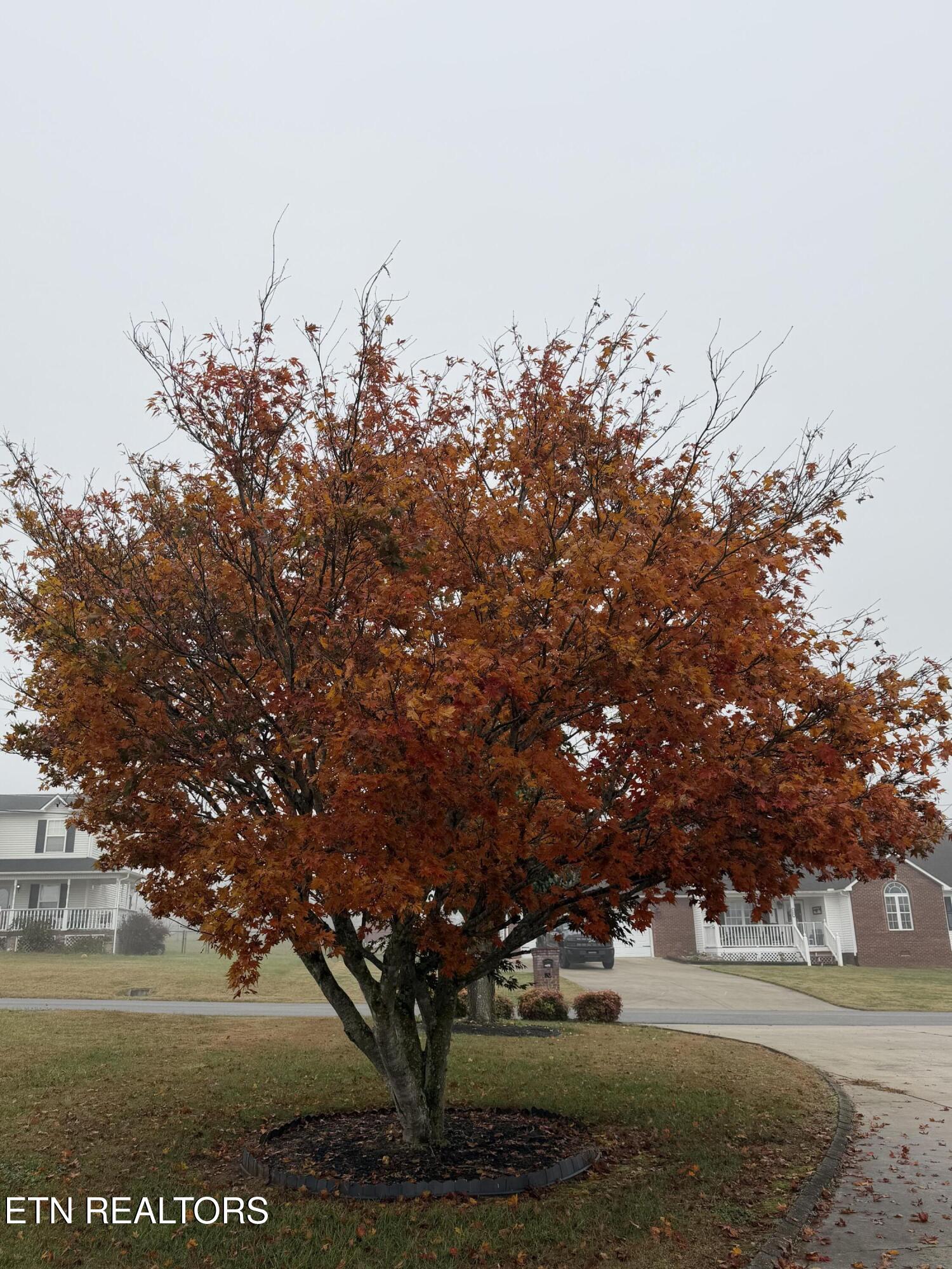 264 Cypress Lane Jacksboro TN 37757