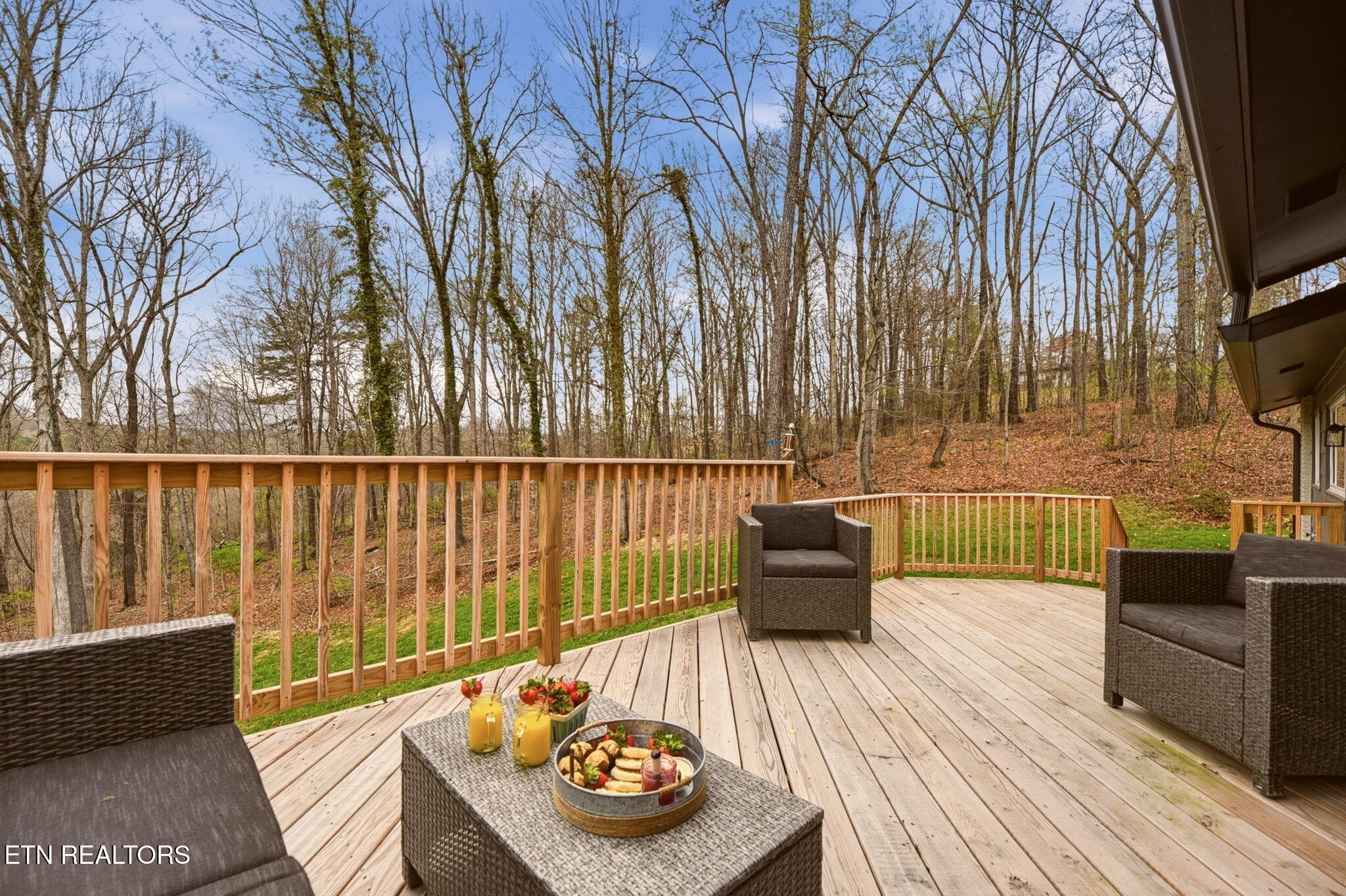 4009 Ingram Lane Knoxville TN 37938