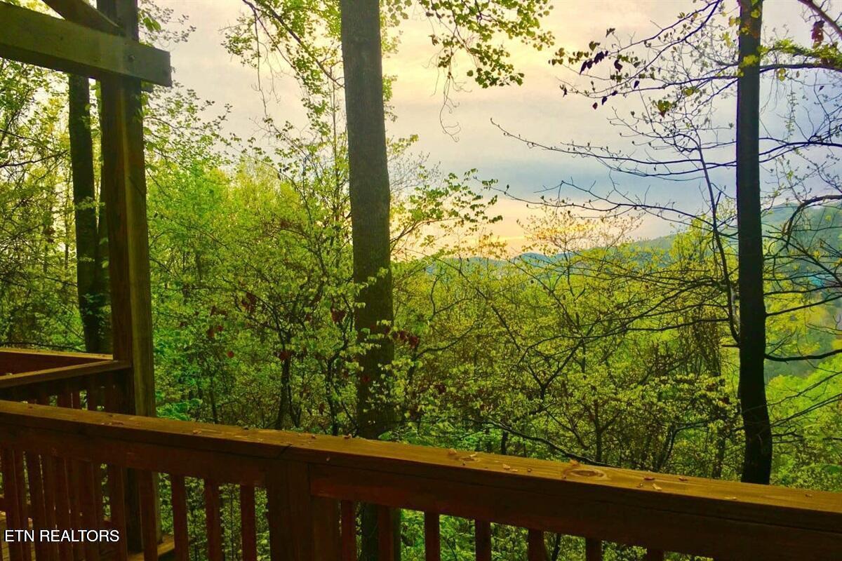 2558 Wildcat Ridge Road Sevierville TN 37862