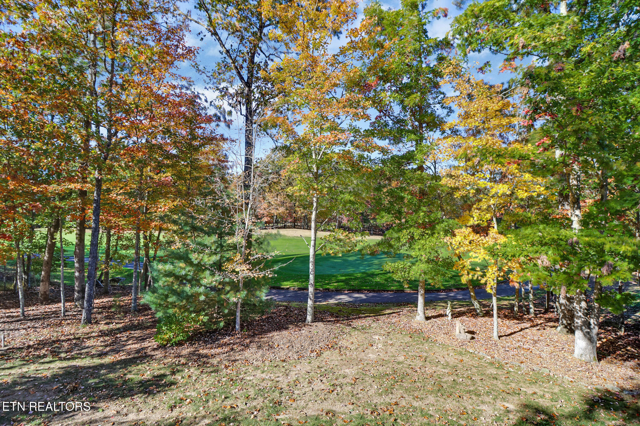 275 Forest Hill Drive Fairfield Glade TN 38558