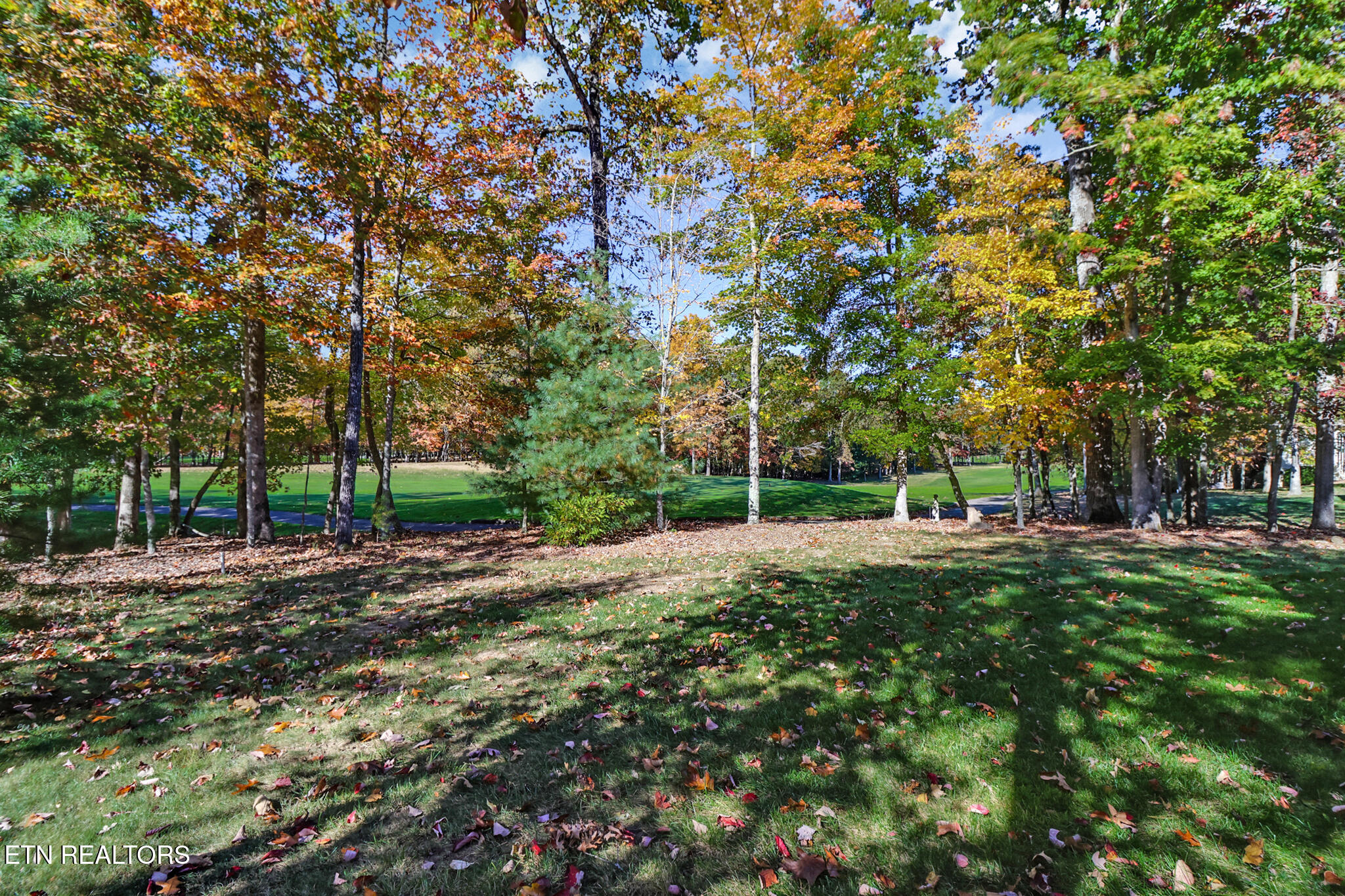 275 Forest Hill Drive Fairfield Glade TN 38558